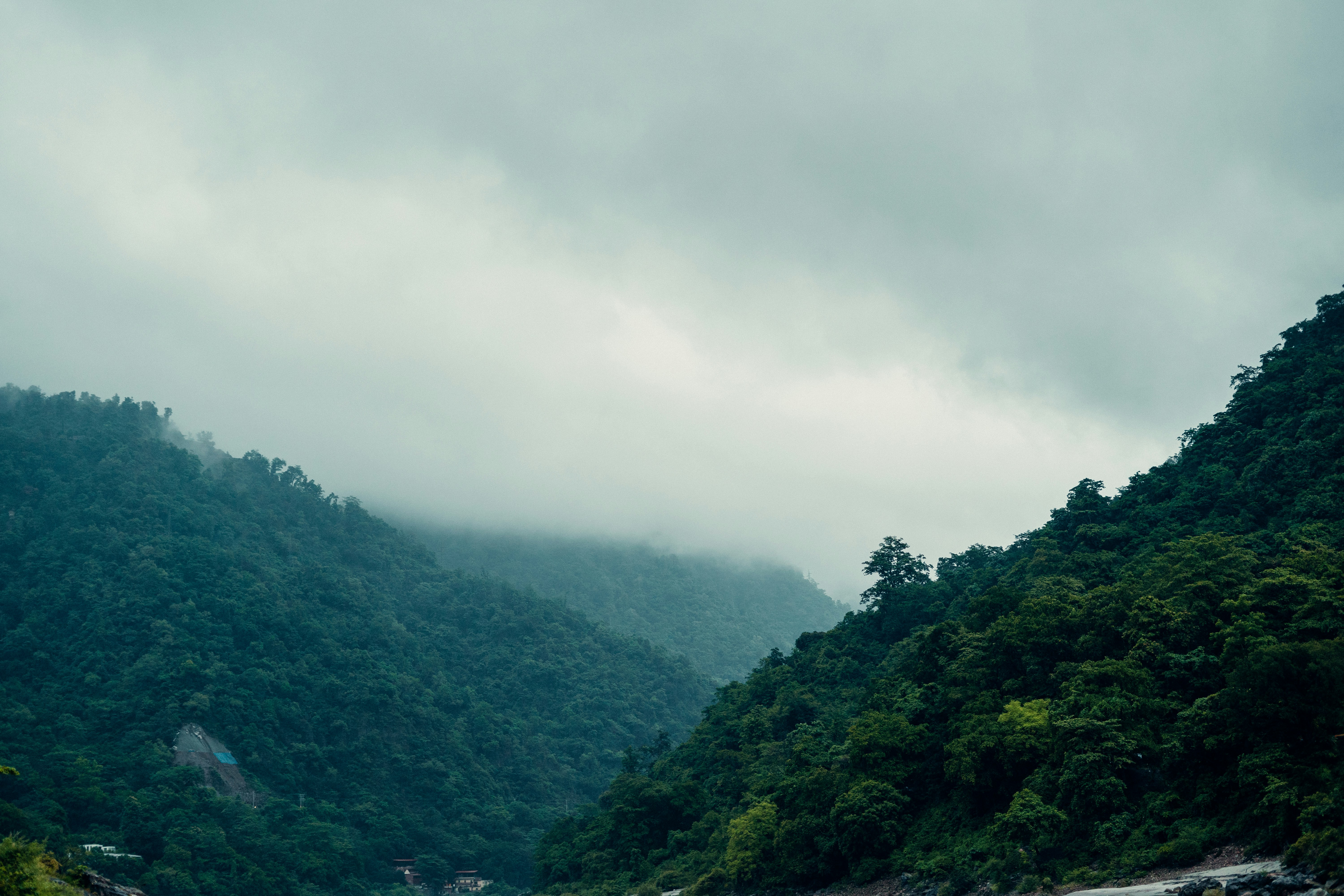 Photo by viditgoswami