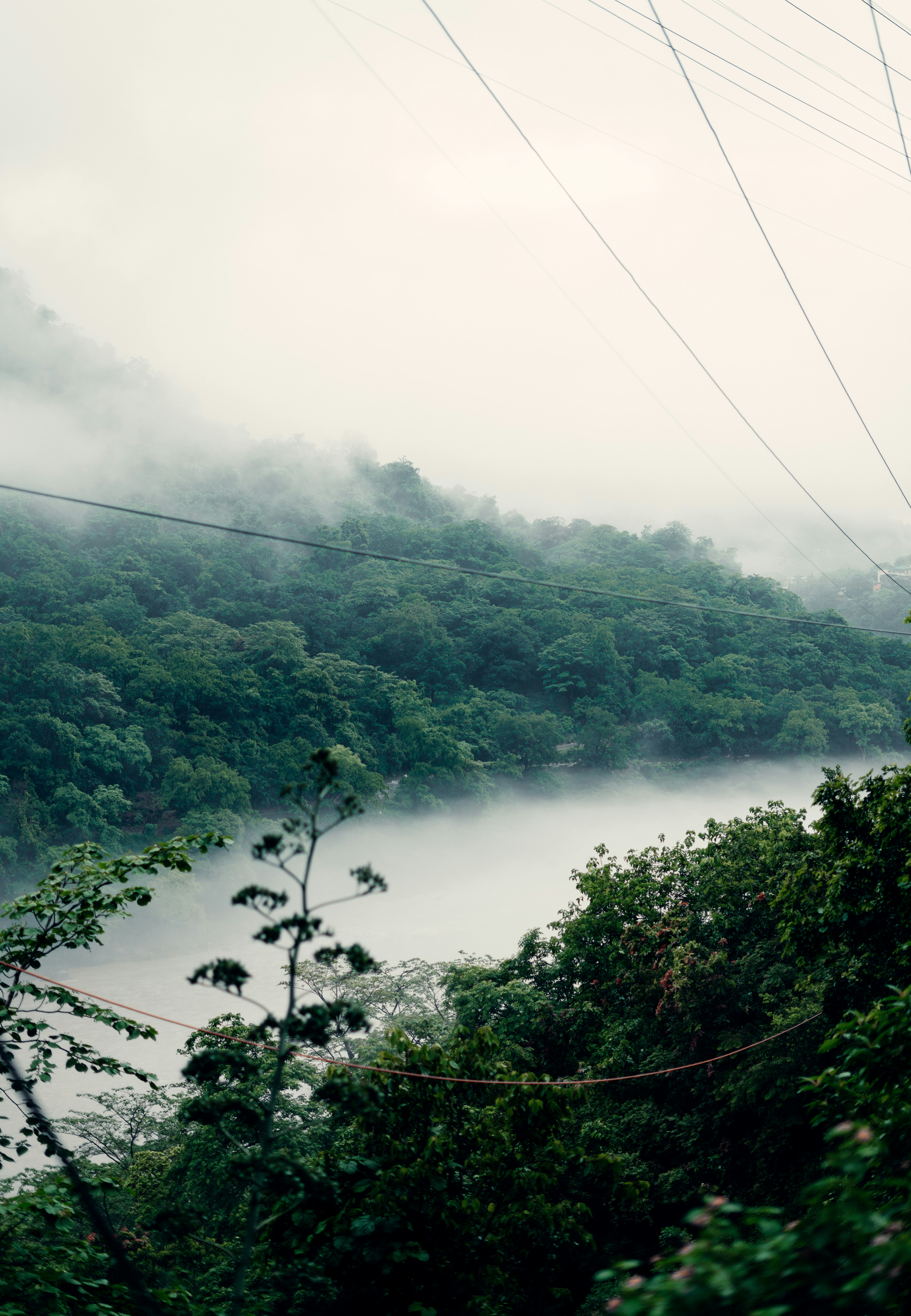 Photo by viditgoswami