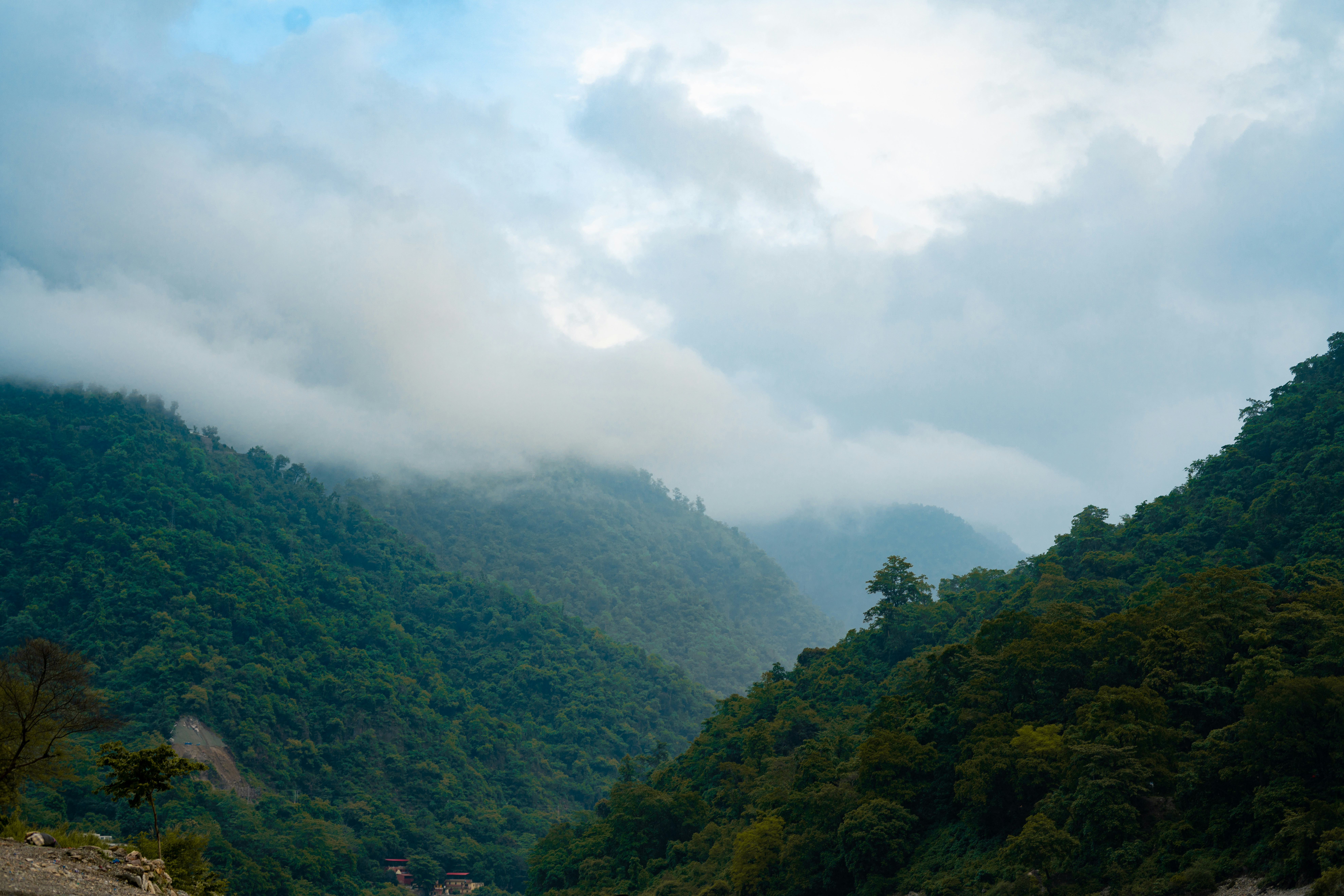 Photo by viditgoswami