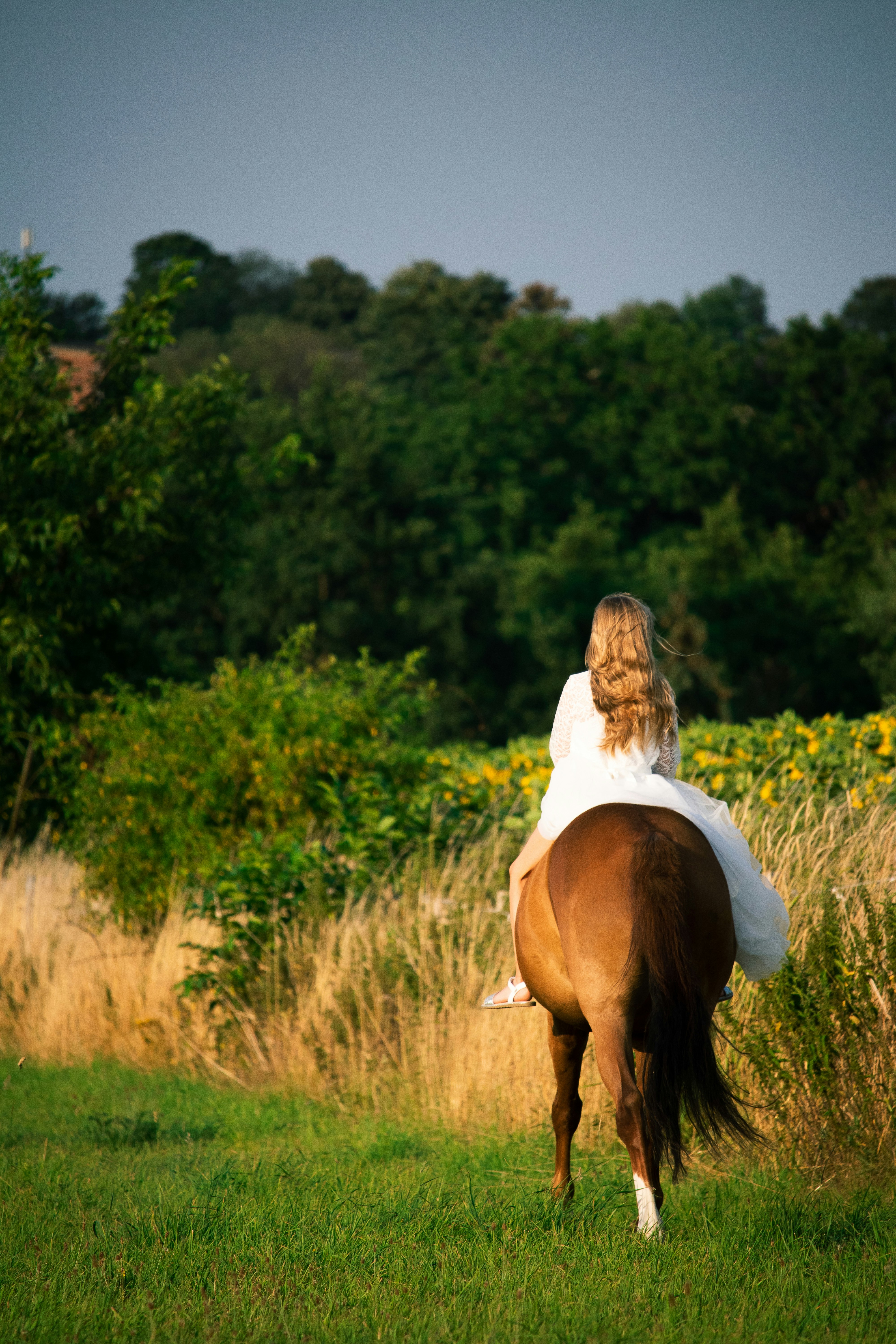 a person sitting on a horse