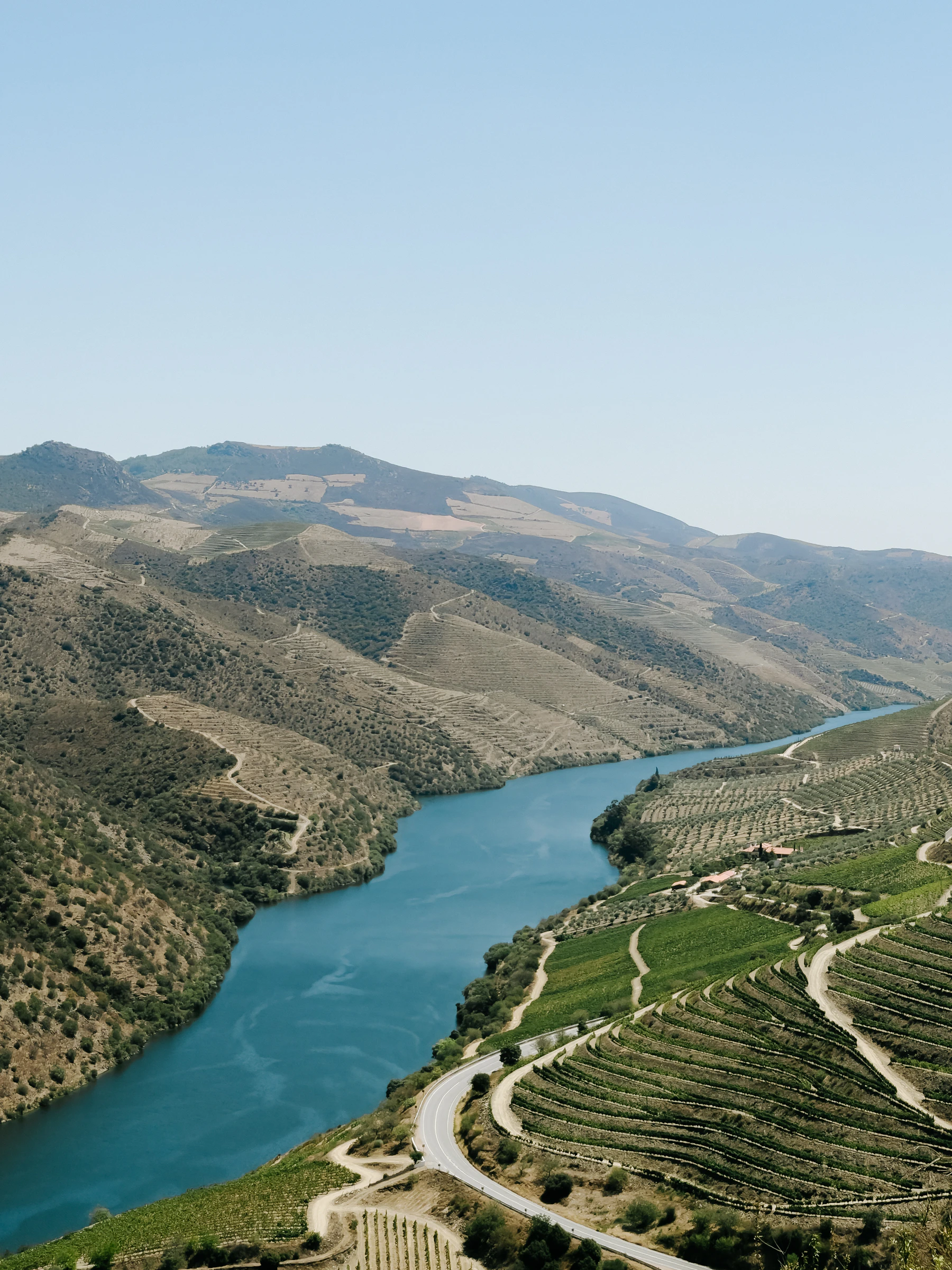Vale do Douro com o rio entre vinhas em socalcos
