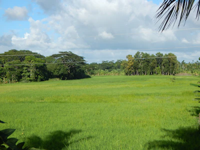 A peaceful countryside view of Fazenda Passos with blue skies and green fields.