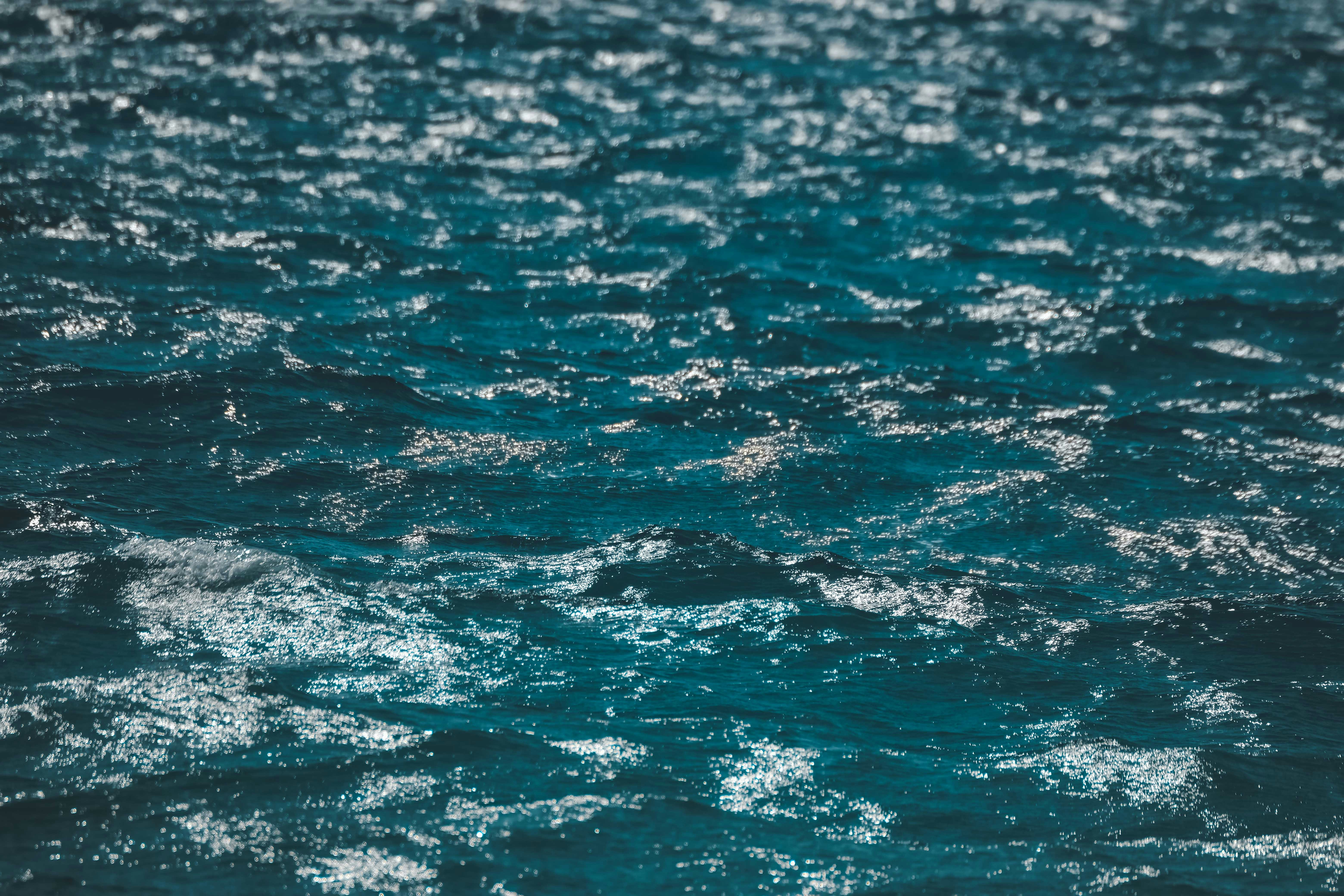 Photo by francesco_ungaro