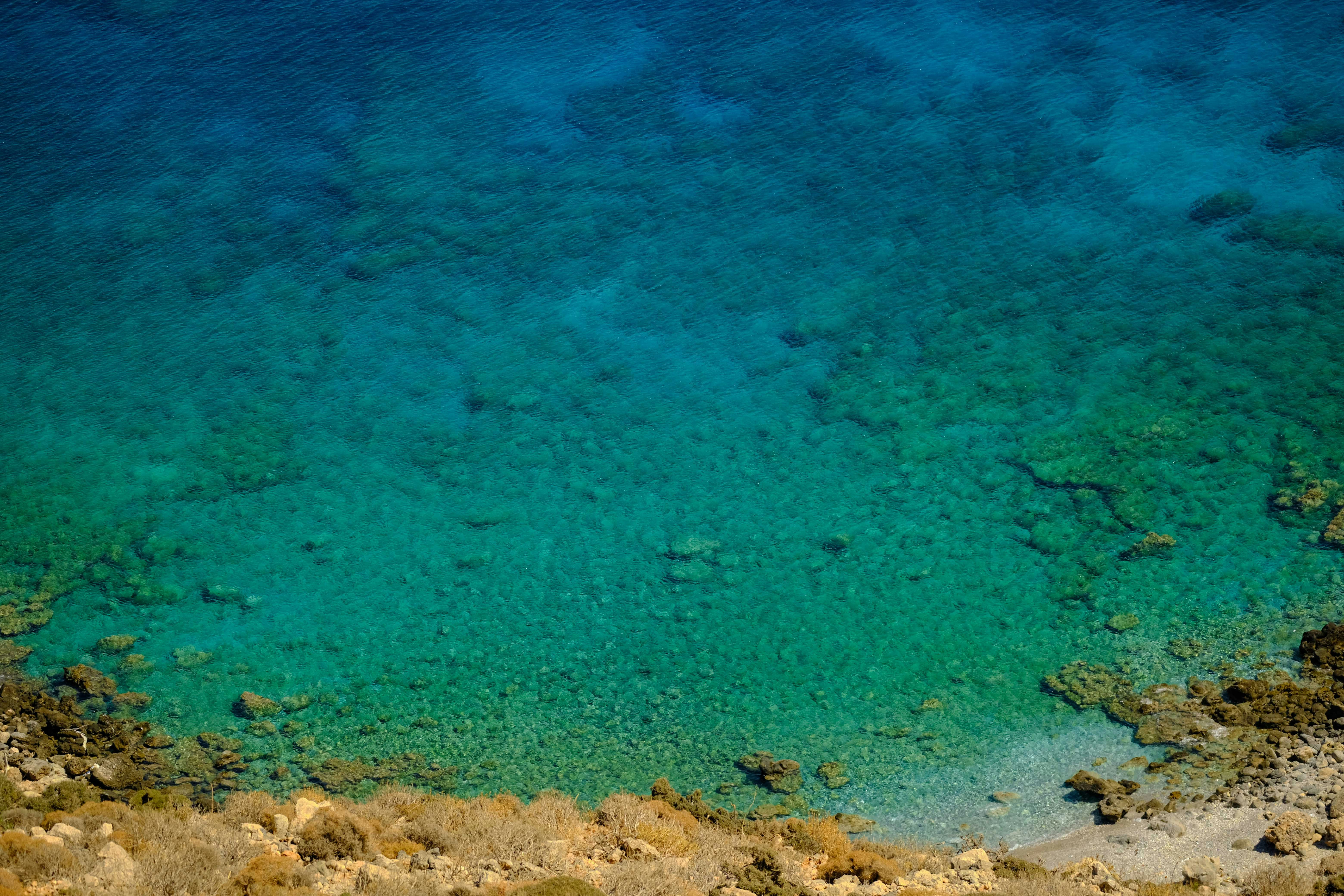 Photo by francesco_ungaro