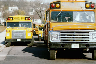 a row of school buses