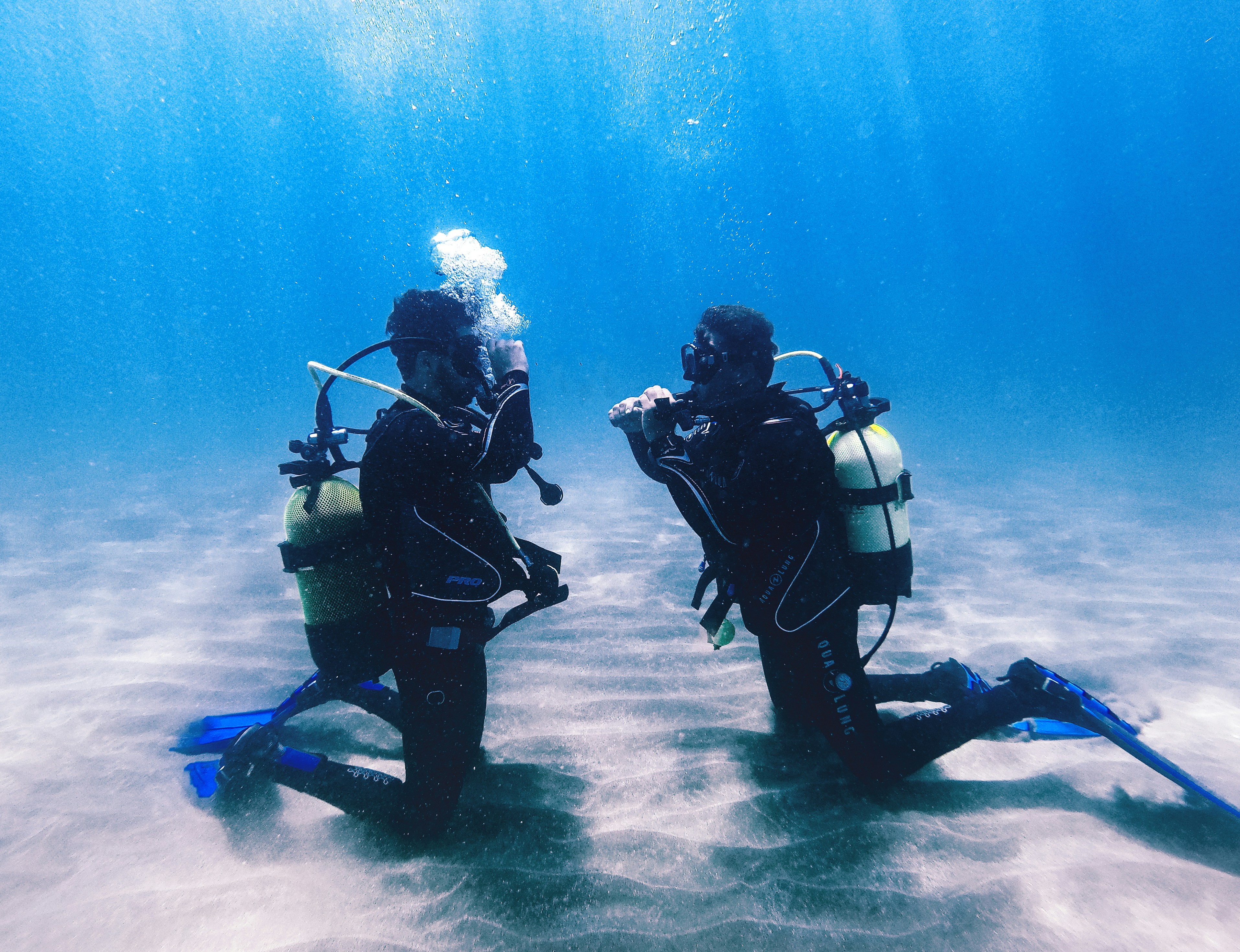Discover the Magic of Red Sea Diving on Your Honeymoon