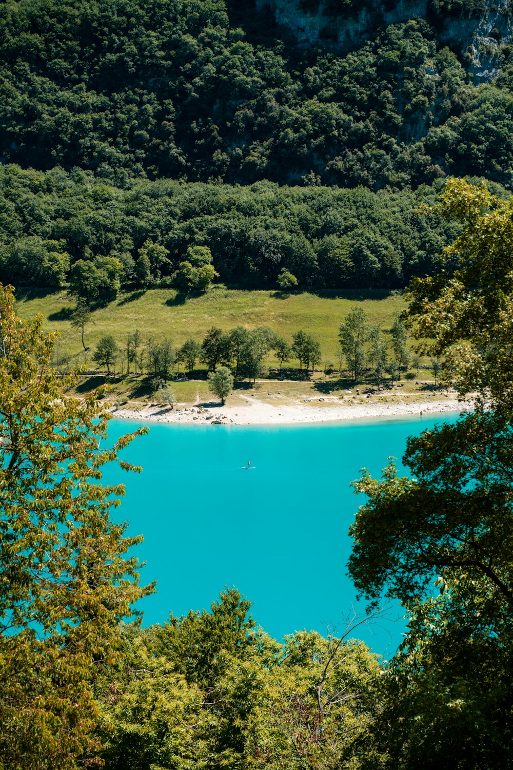 a body of water surrounded by trees