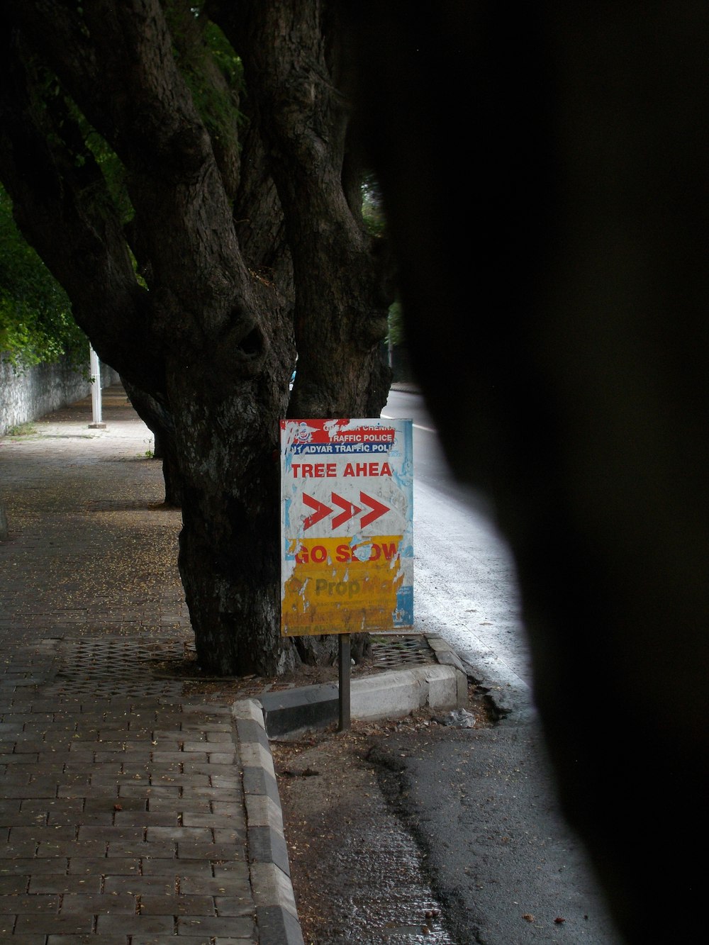 a sign on a tree