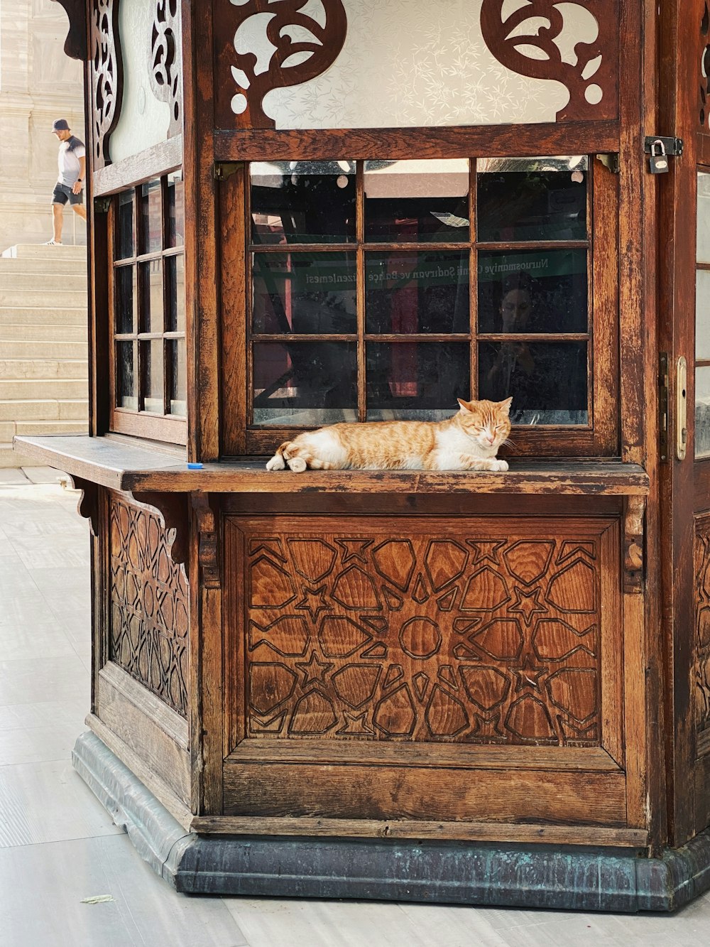 a cat lying on a window sill