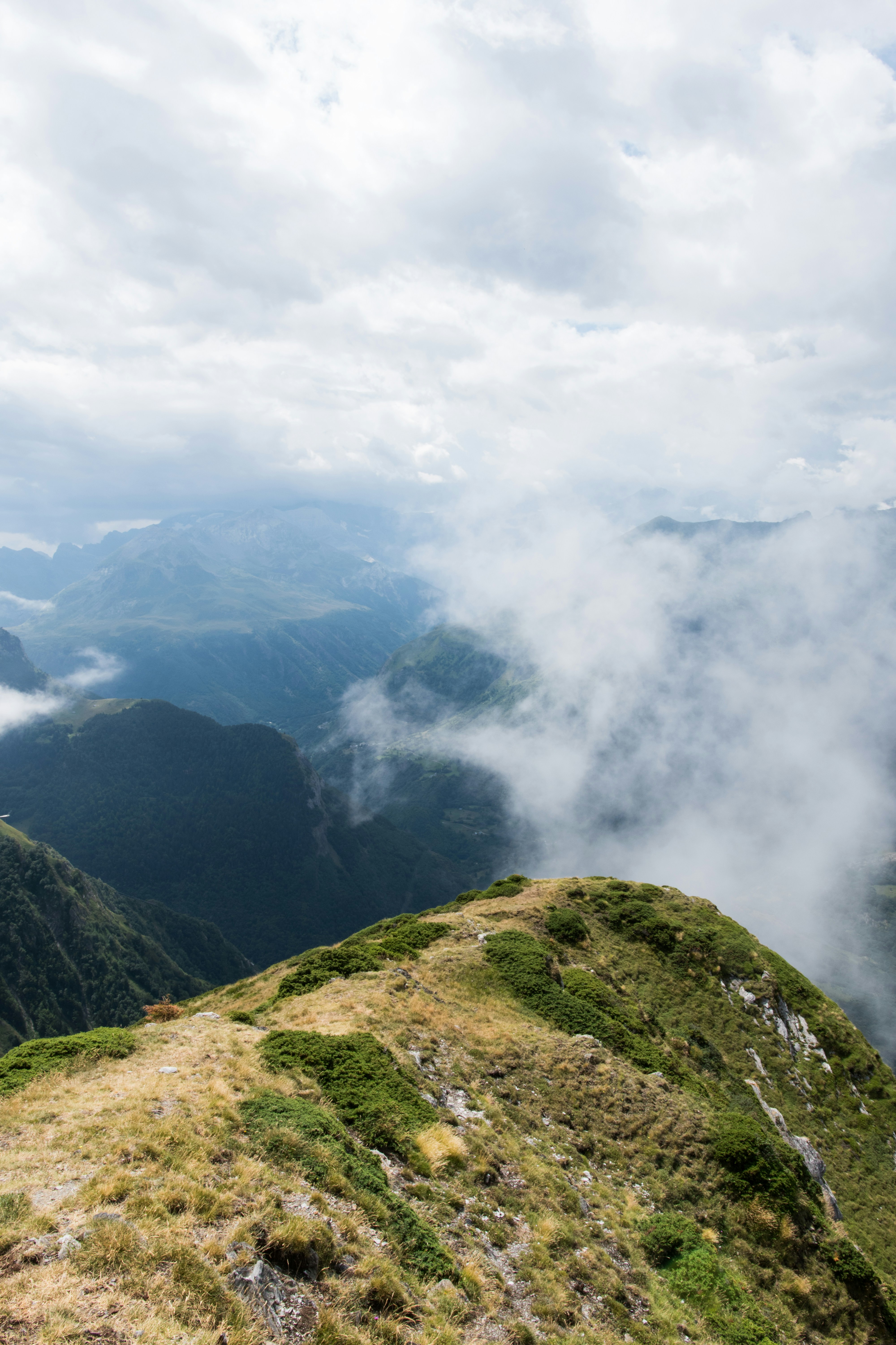 Photo by ptrlt_photo