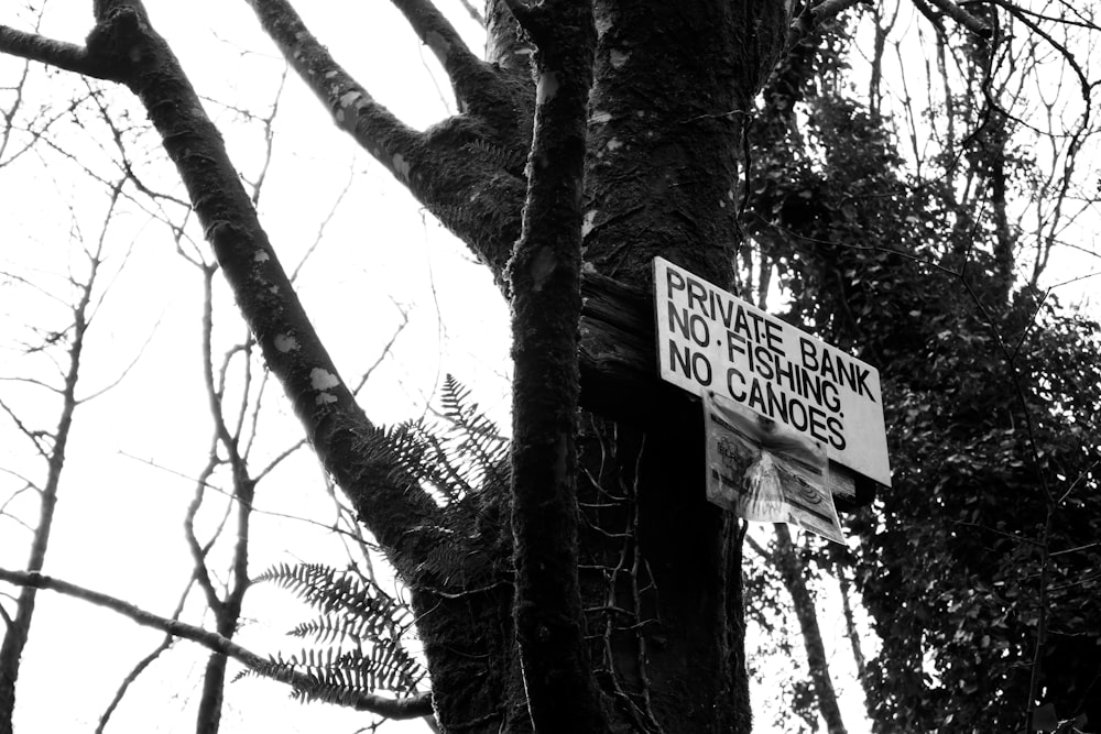 un panneau de signalisation sur un arbre