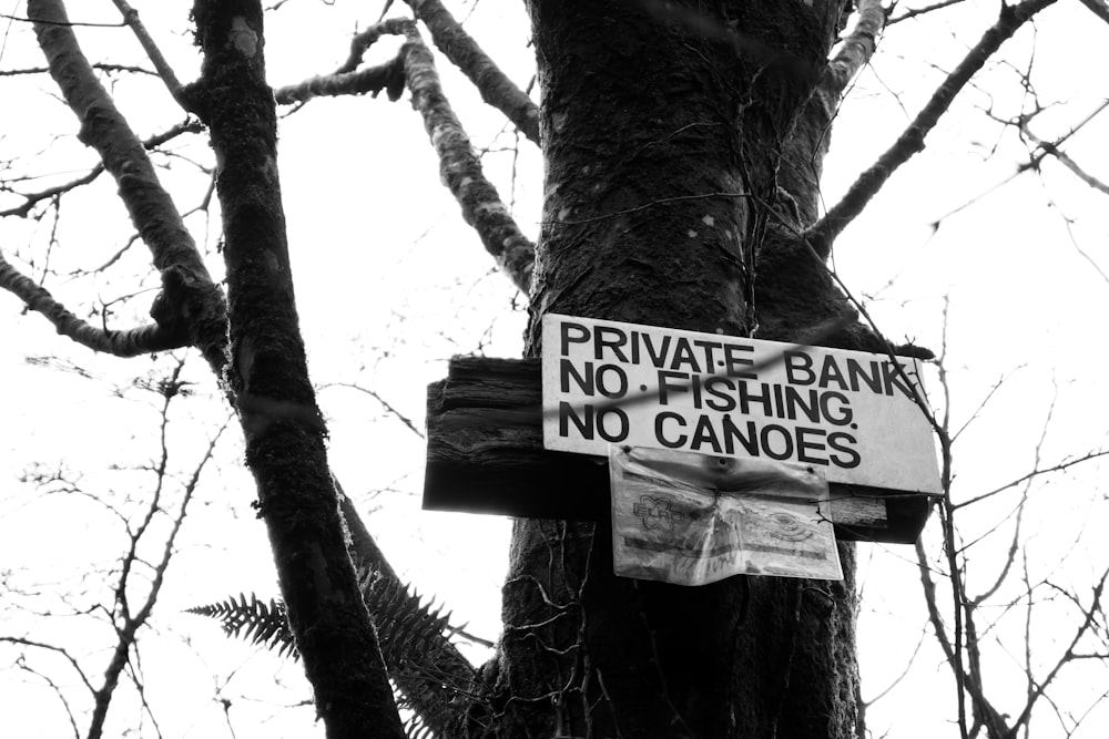 a sign on a tree