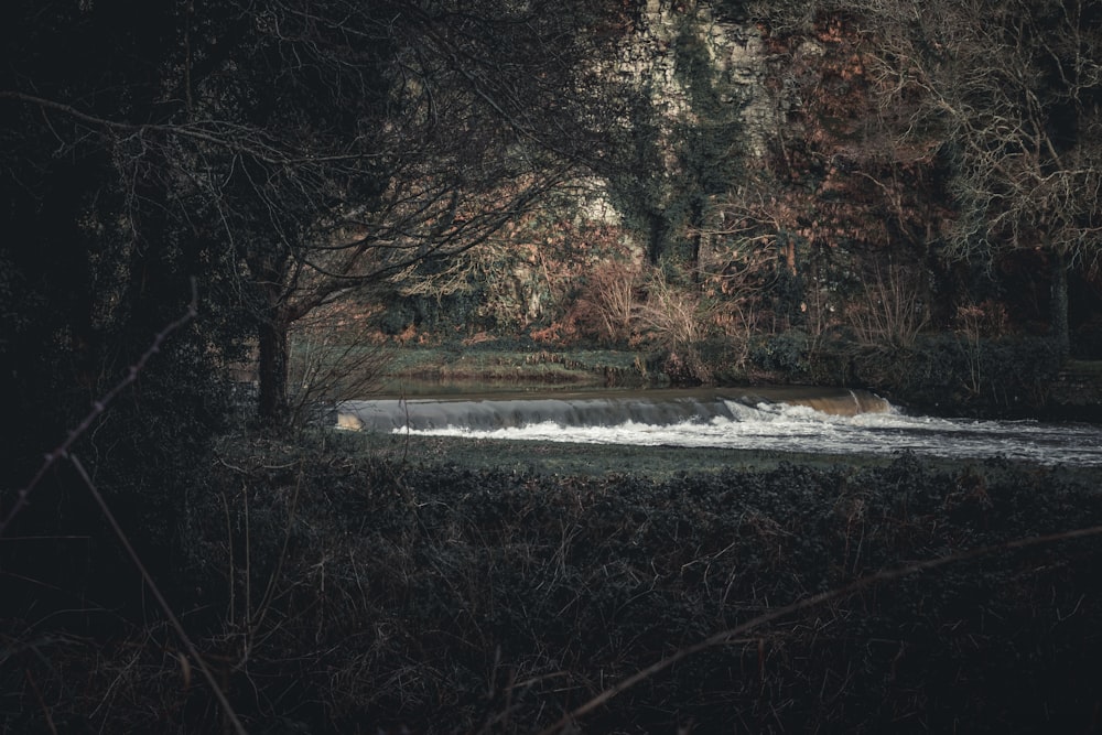 a river with trees around it