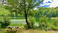 A group of travelers enjoying a peaceful lakeside picnic surrounded by lush greenery.