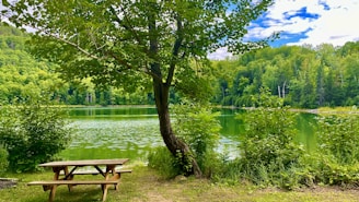 A group of travelers enjoying a peaceful lakeside picnic surrounded by lush greenery.