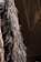An intricate garment adorned with long, dark feathers cascading down. The background is dark and textured, enhancing the luxurious feel of the fabric and feathers.