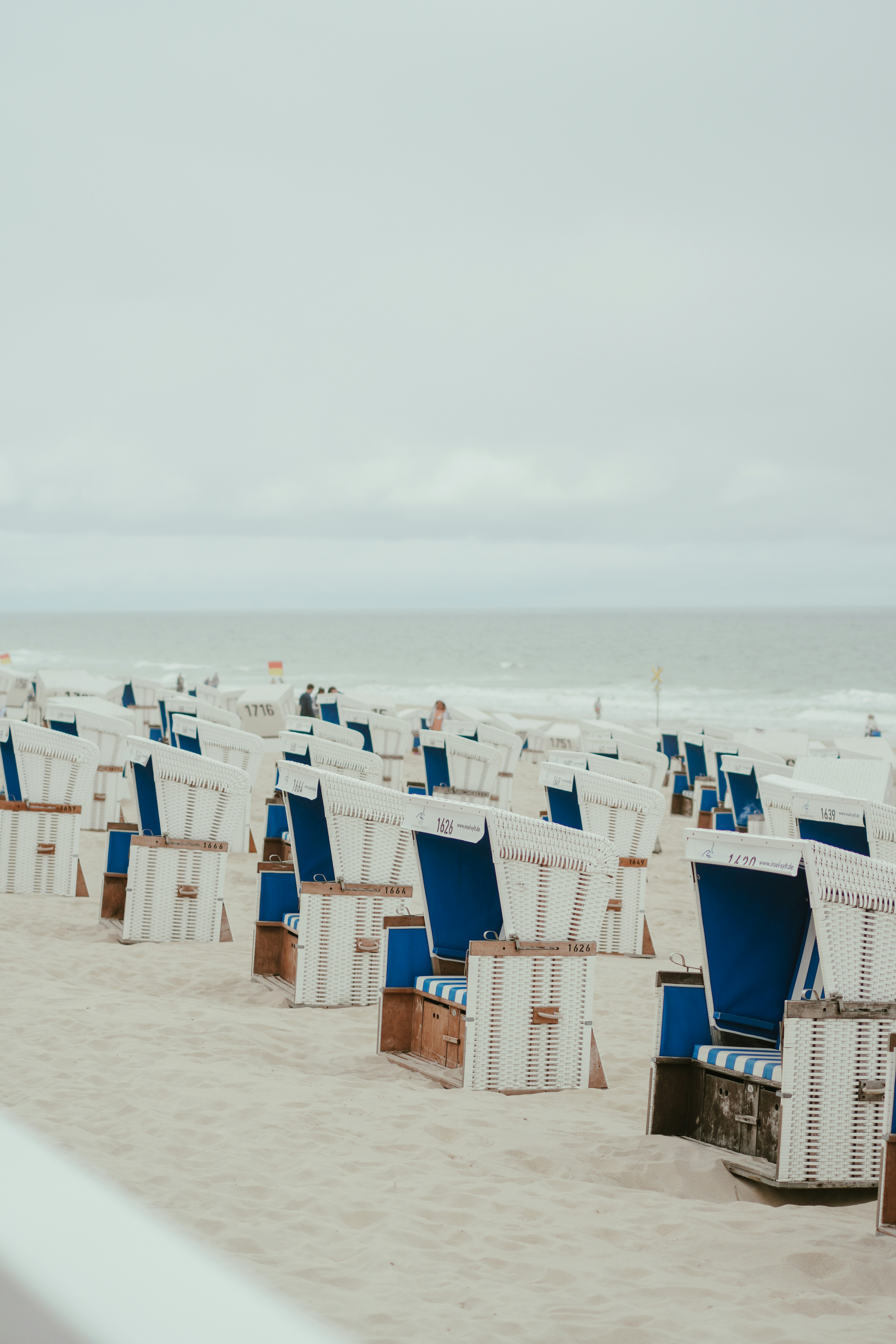 Photo by gensebluemchen