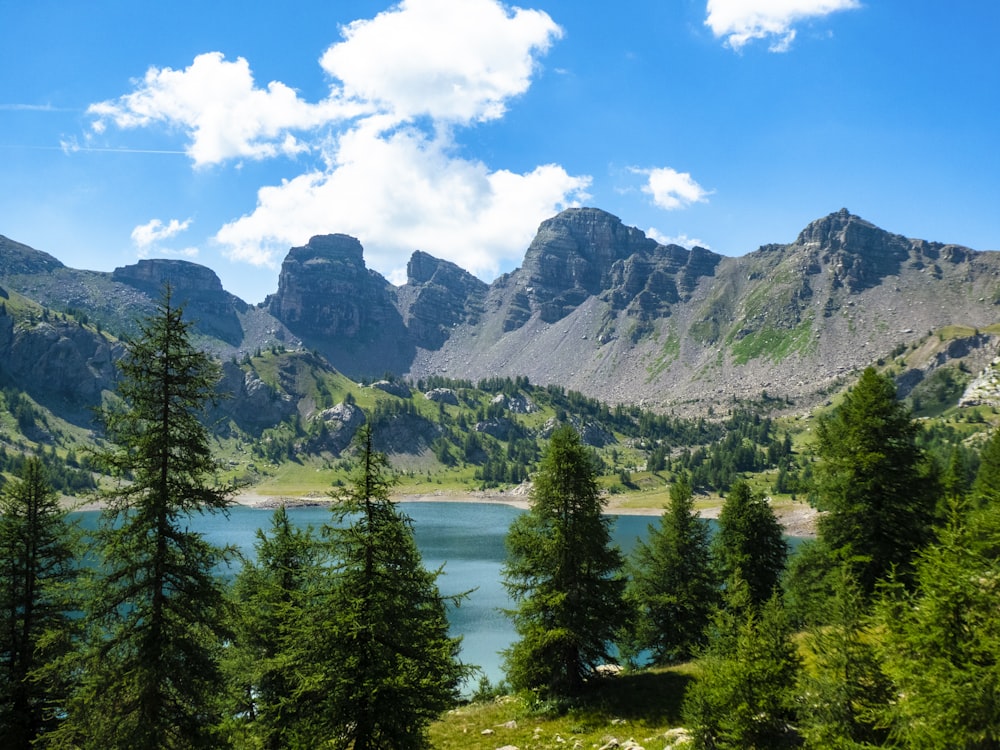 Ein See, umgeben von Bäumen und Bergen