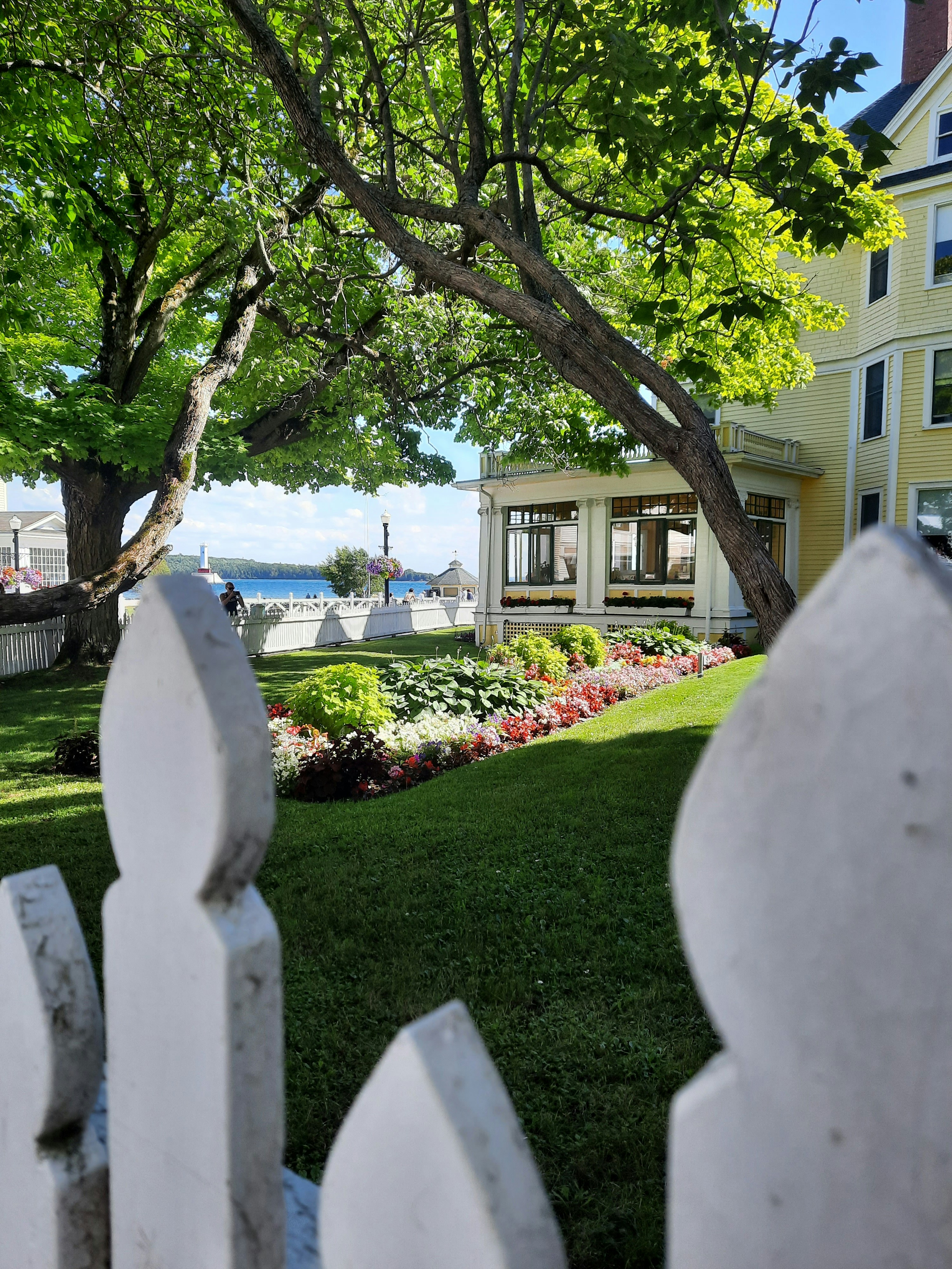 a tree next to a building