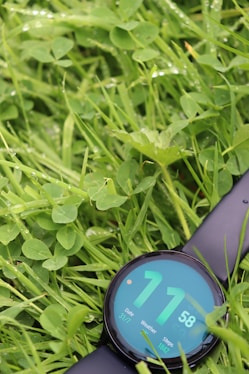 a digital clock in the grass