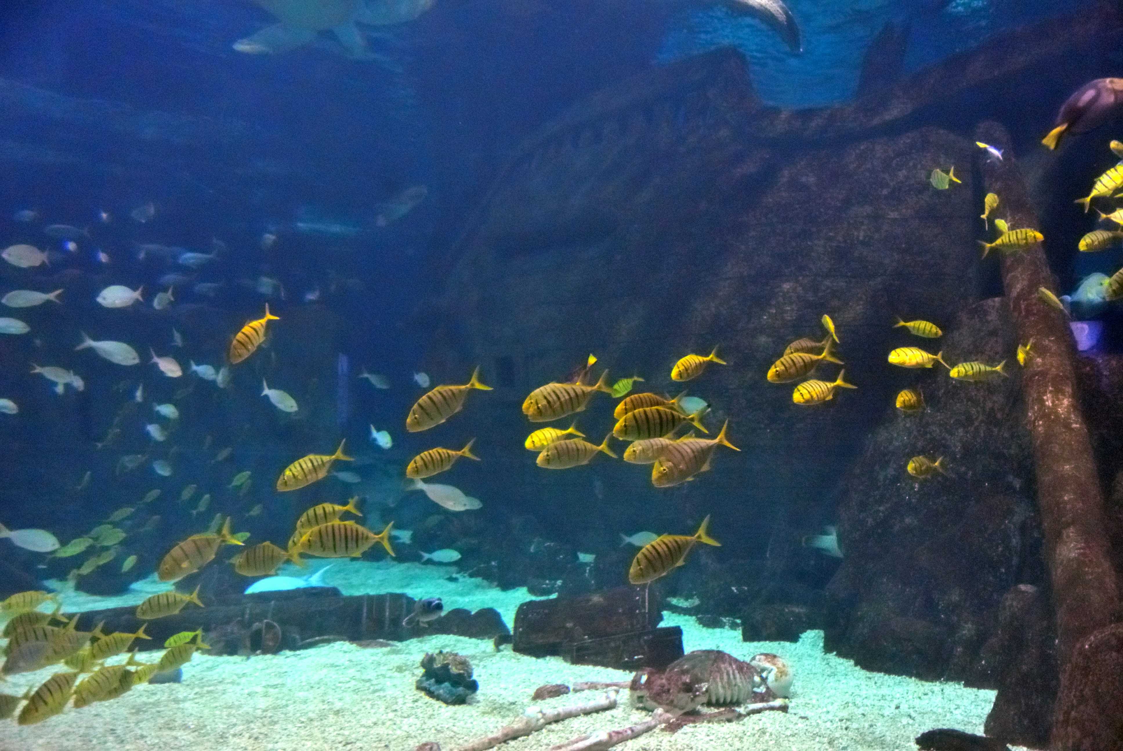 Photo by joneshevchenko