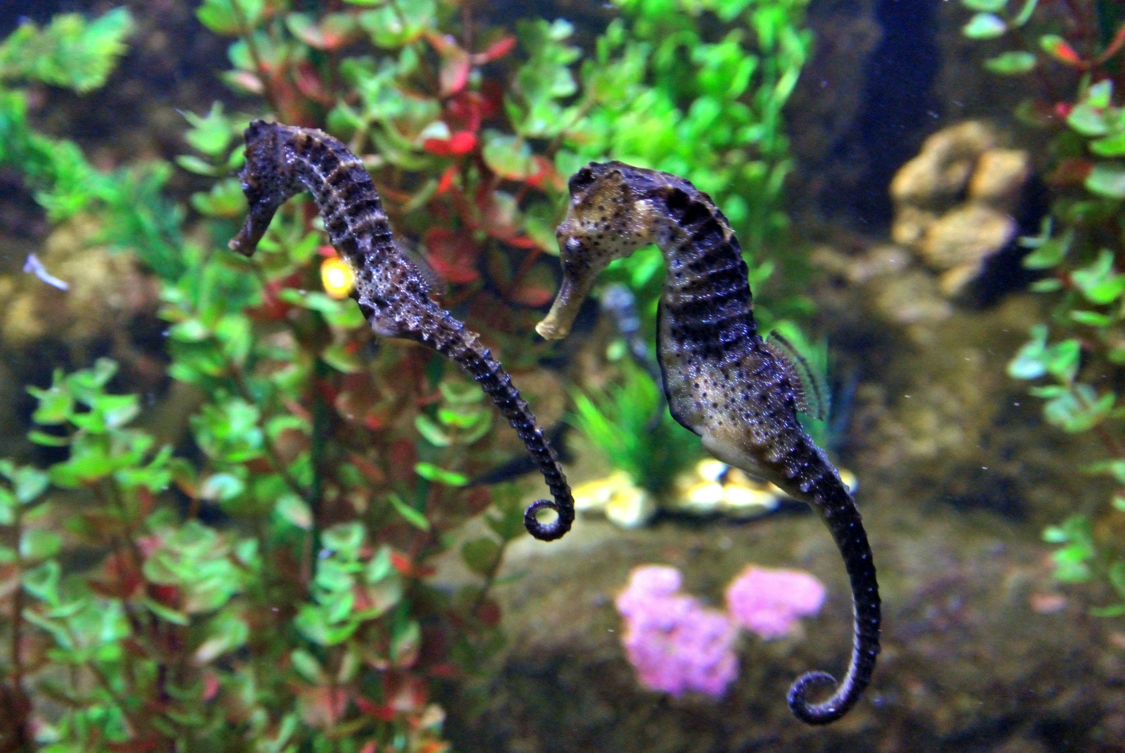 Photo by joneshevchenko