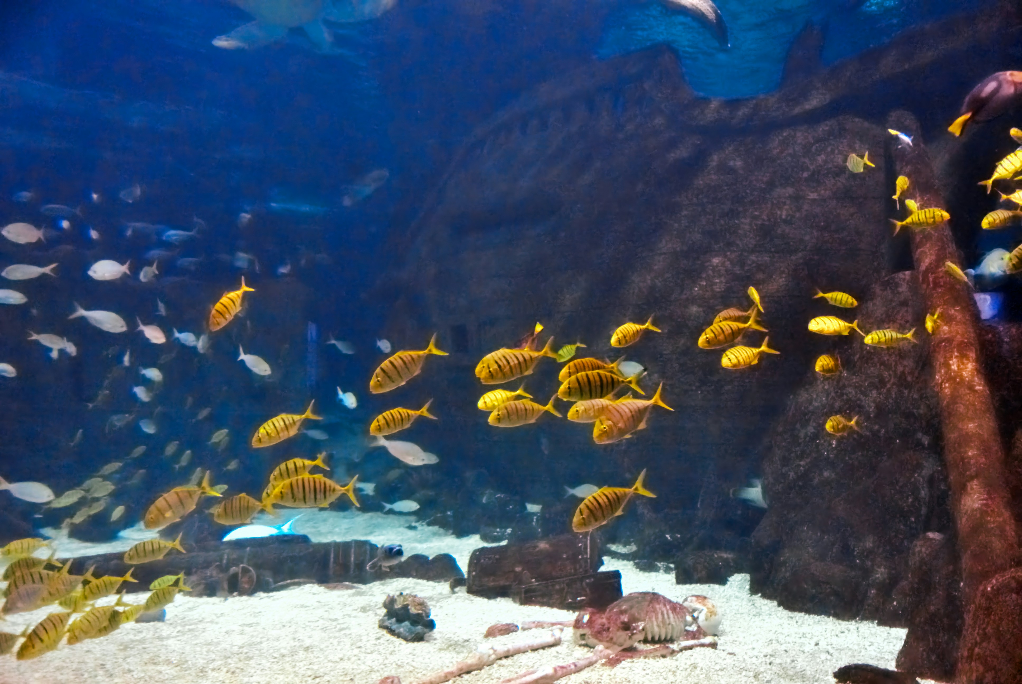 Photo by joneshevchenko