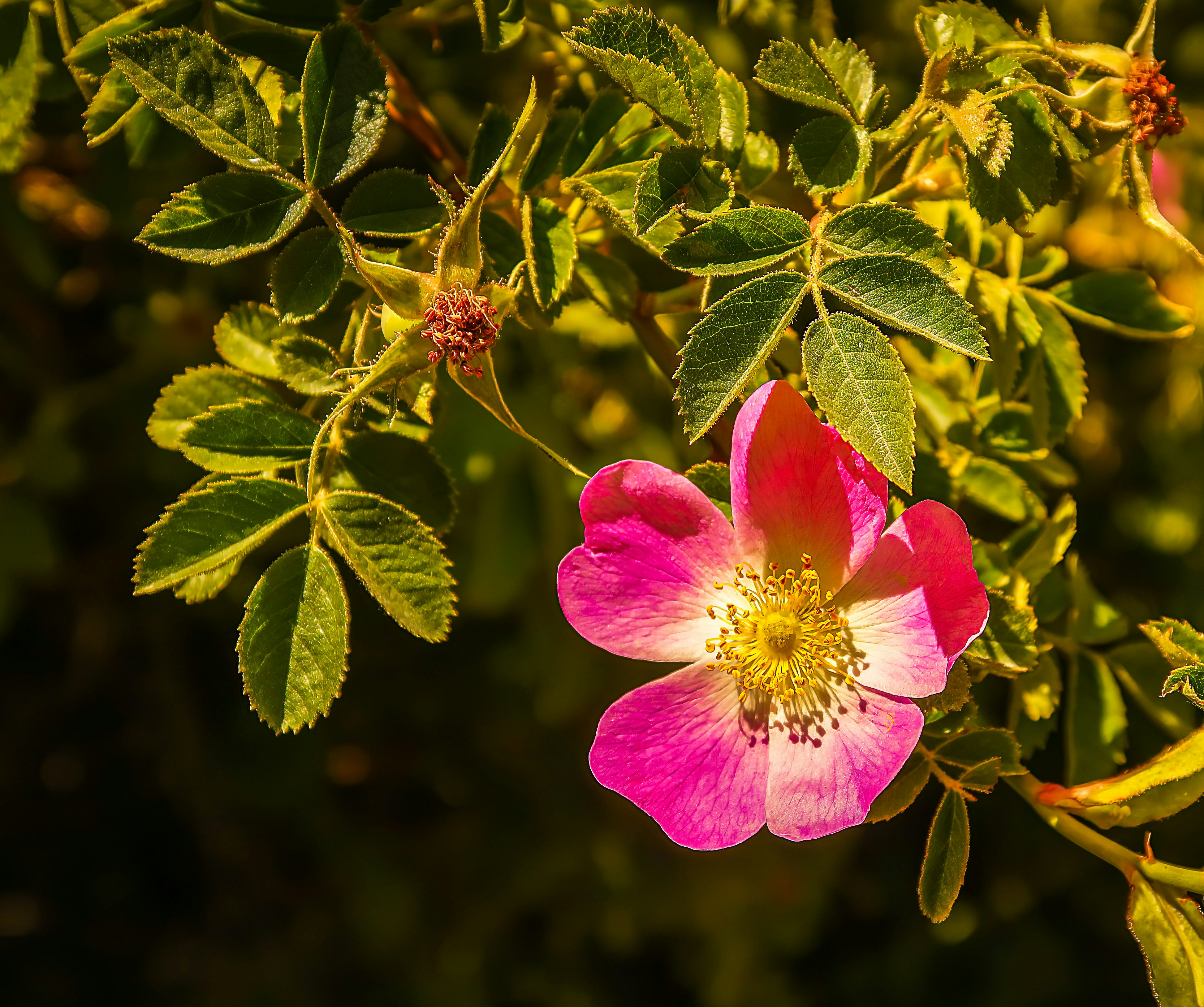 Photo by argentinanatural