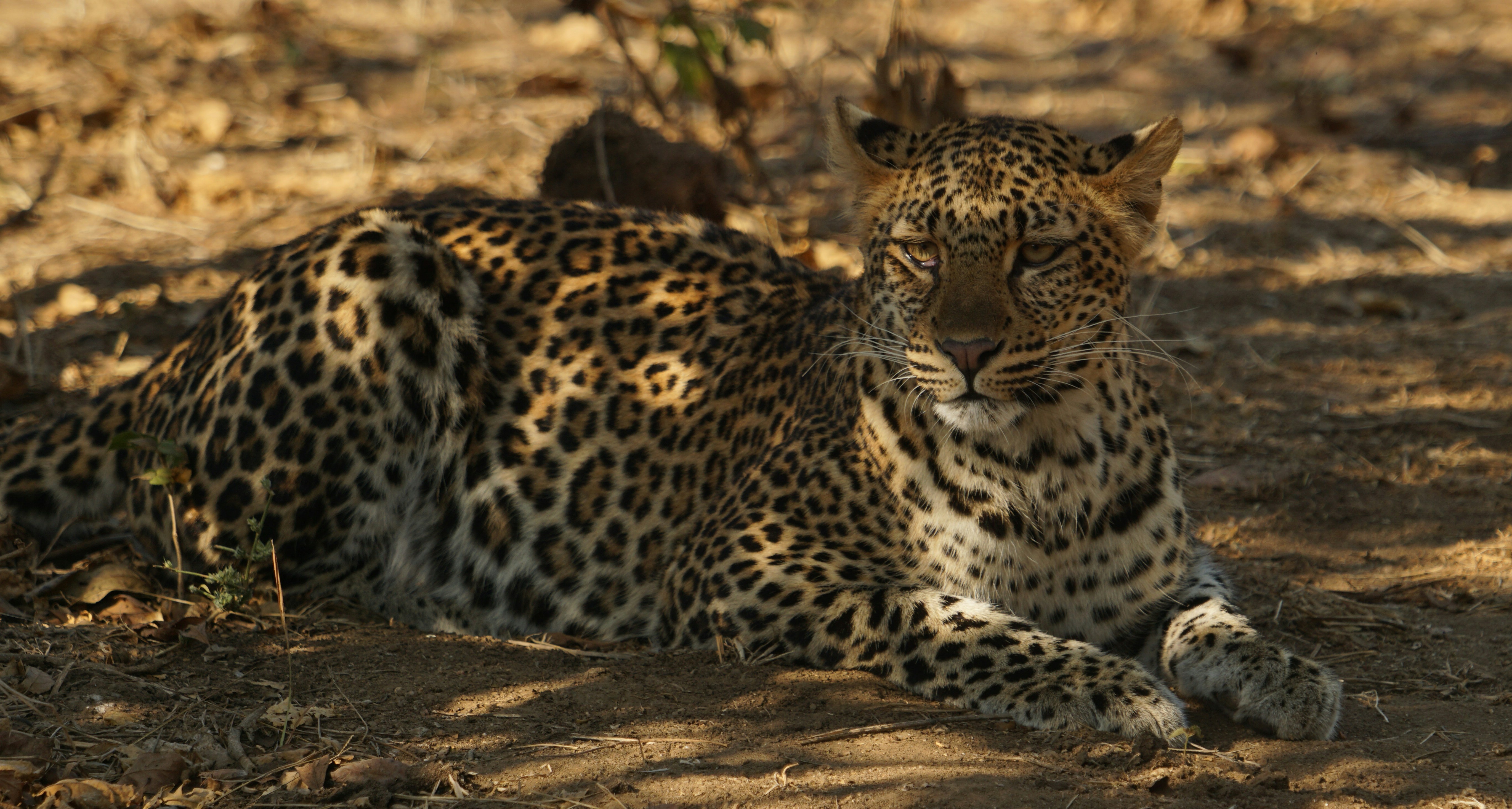 Changing Climates, Changing Lives (image credits: unsplash)