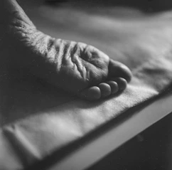 a close-up of a hand