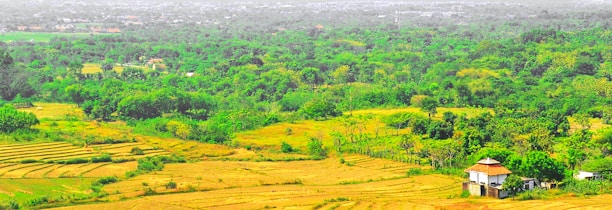 Spacious farmhouse surrounded by lush greenery and open fields in Jaipur.