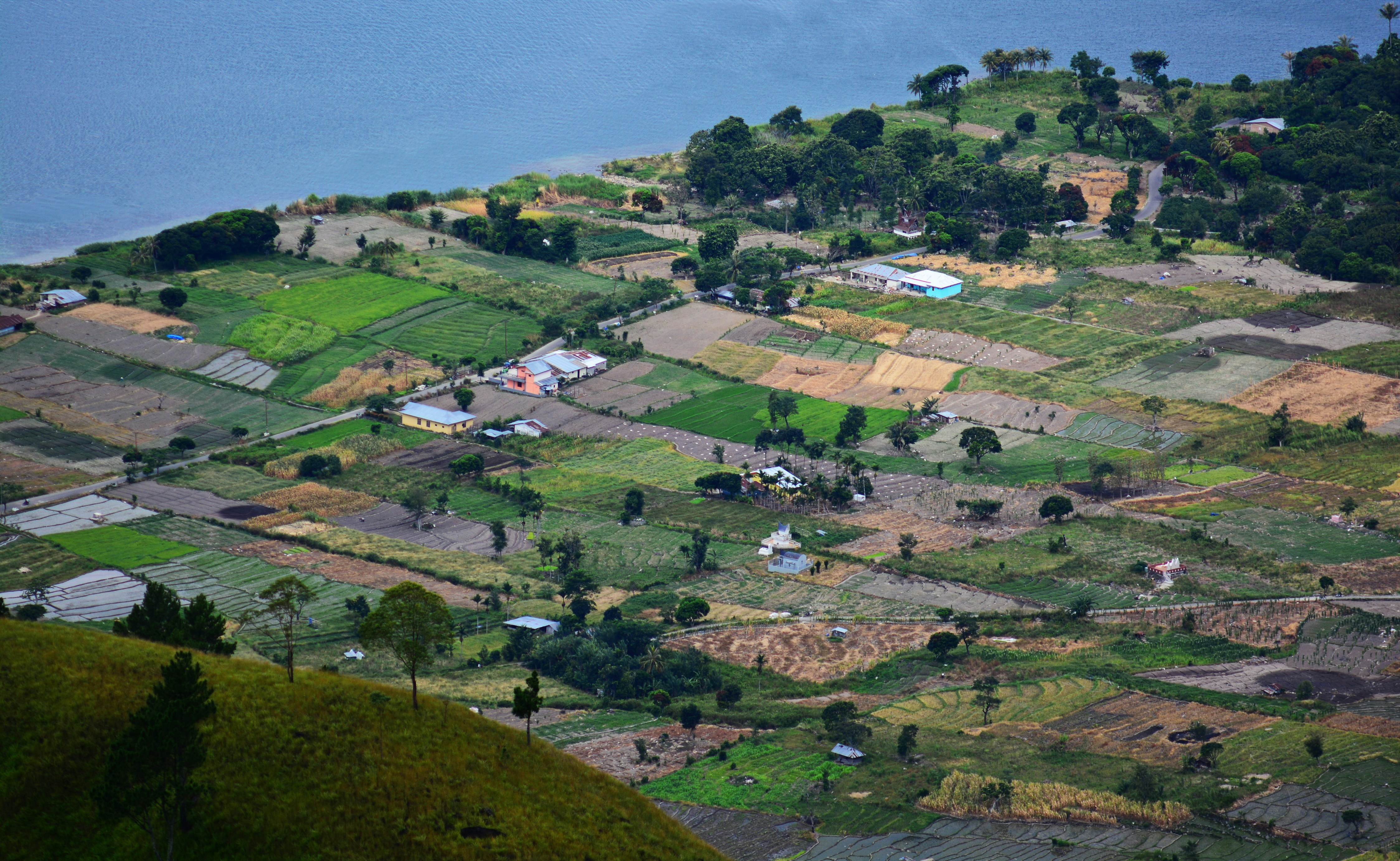 a landscape with houses and trees