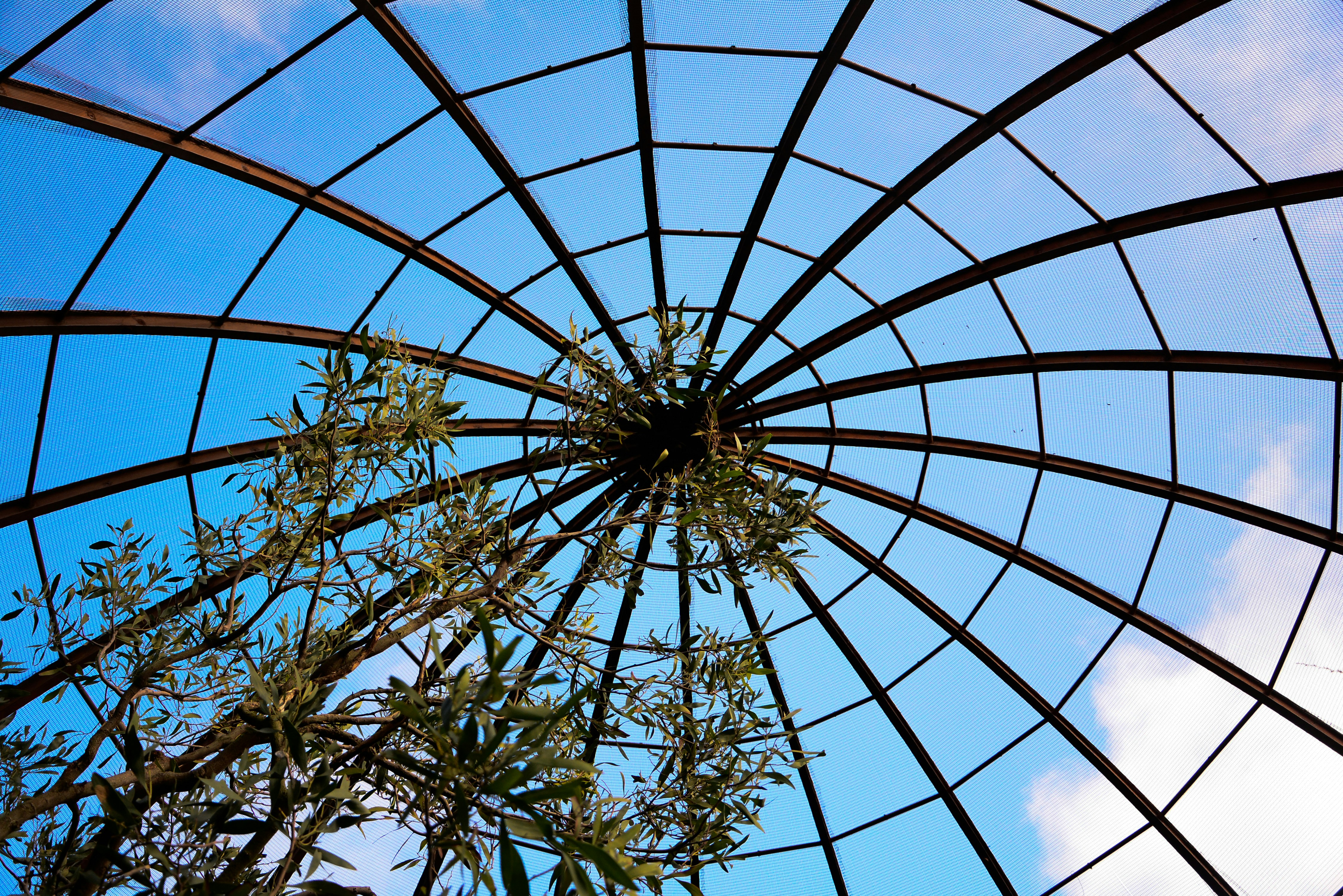 Photo by adriansiaril