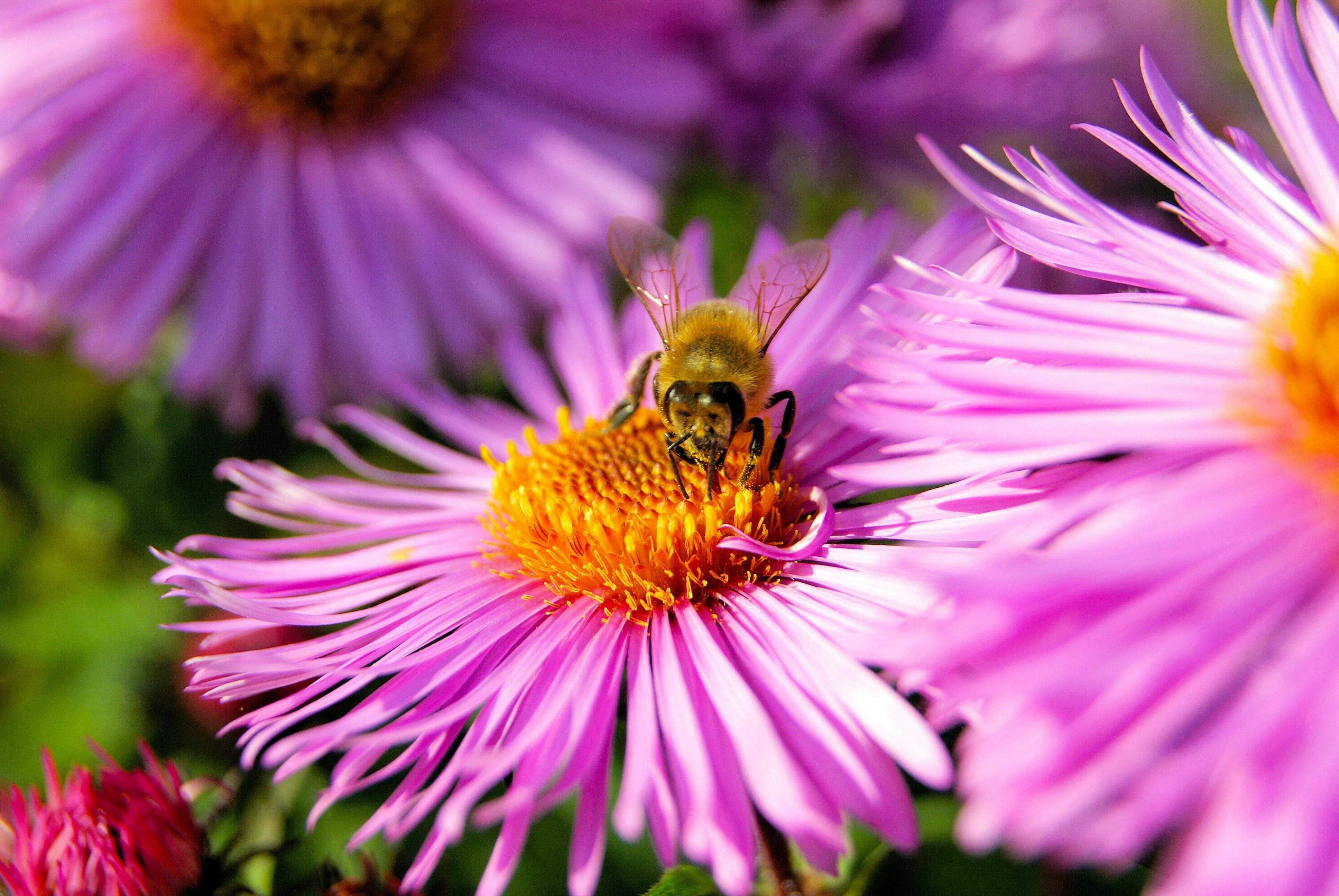 Photo by bastino1985