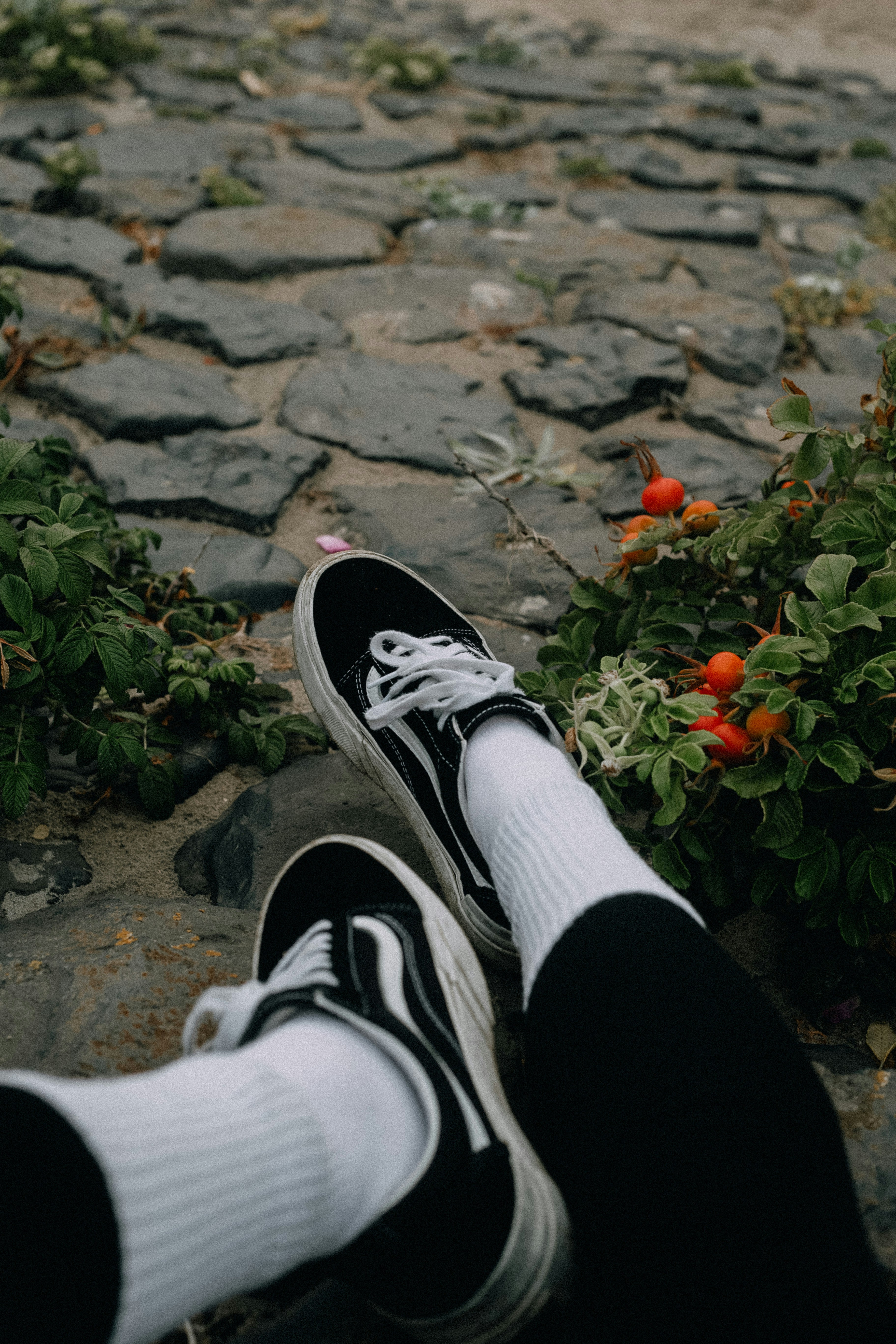 a person's feet on a stone path with plants