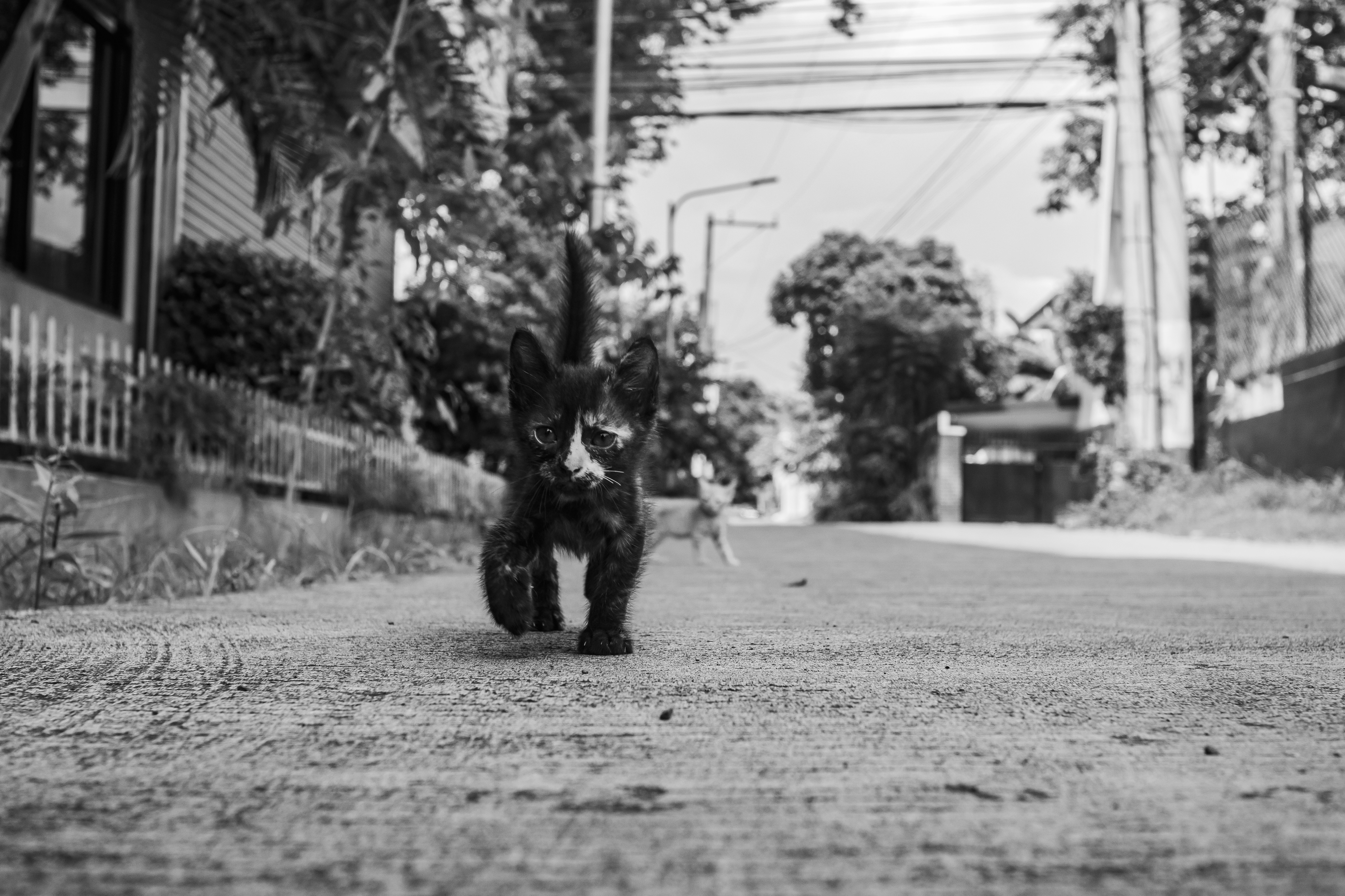 Photo by roadahead_2223