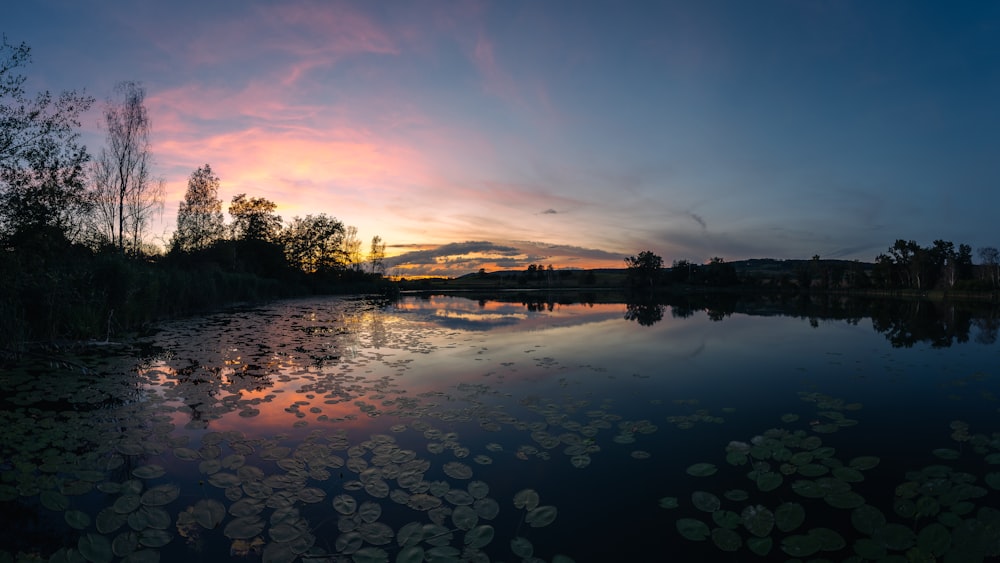 a body of water with lily pads and trees around it