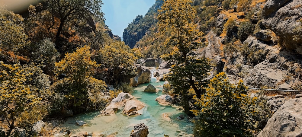 a river with rocks and trees