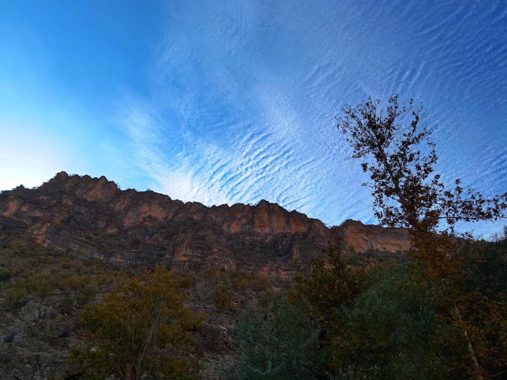 a rocky mountain with trees