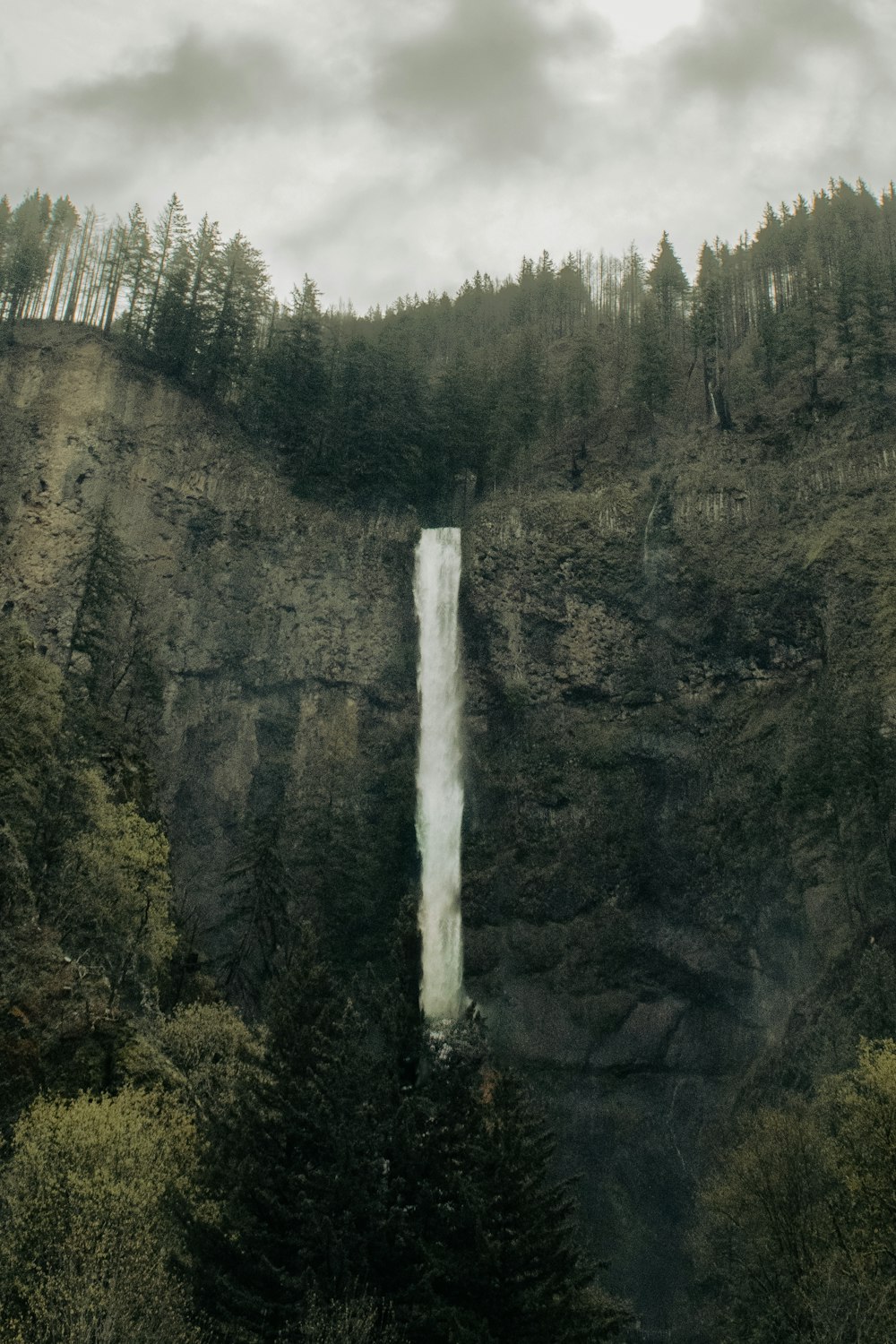 a waterfall in a forest