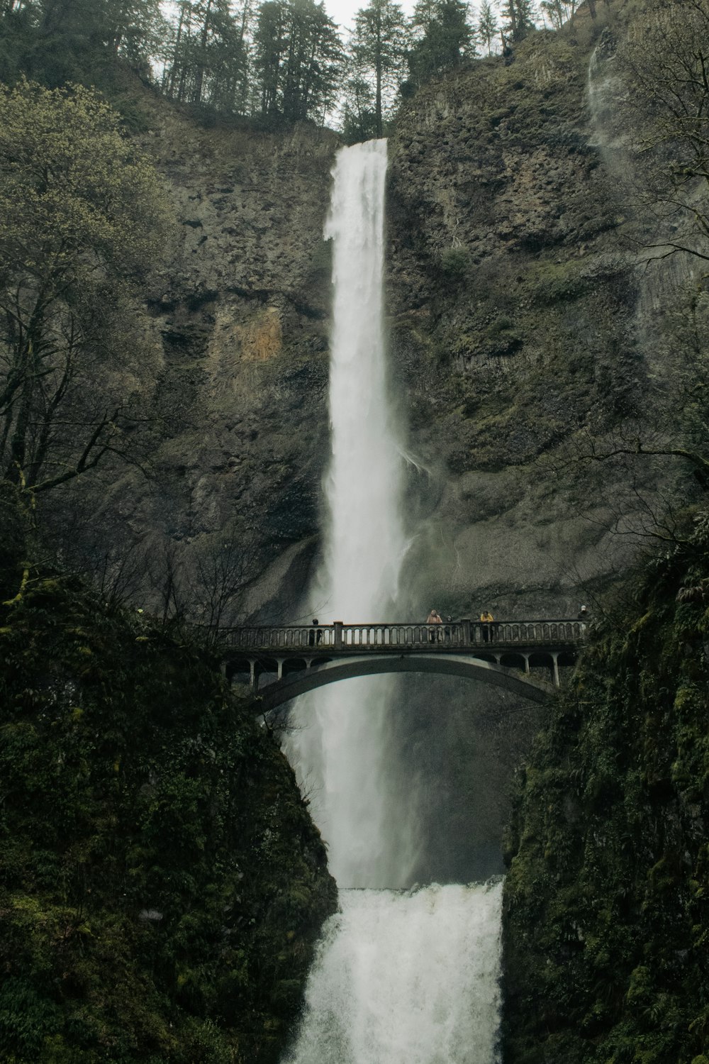 Multnomah Falls over a waterfall