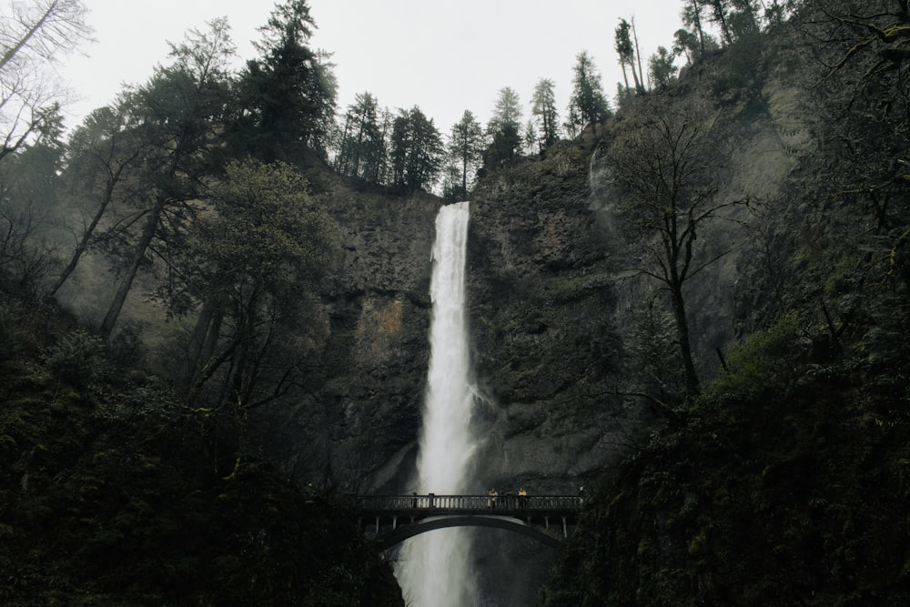 Un puente sobre una cascada