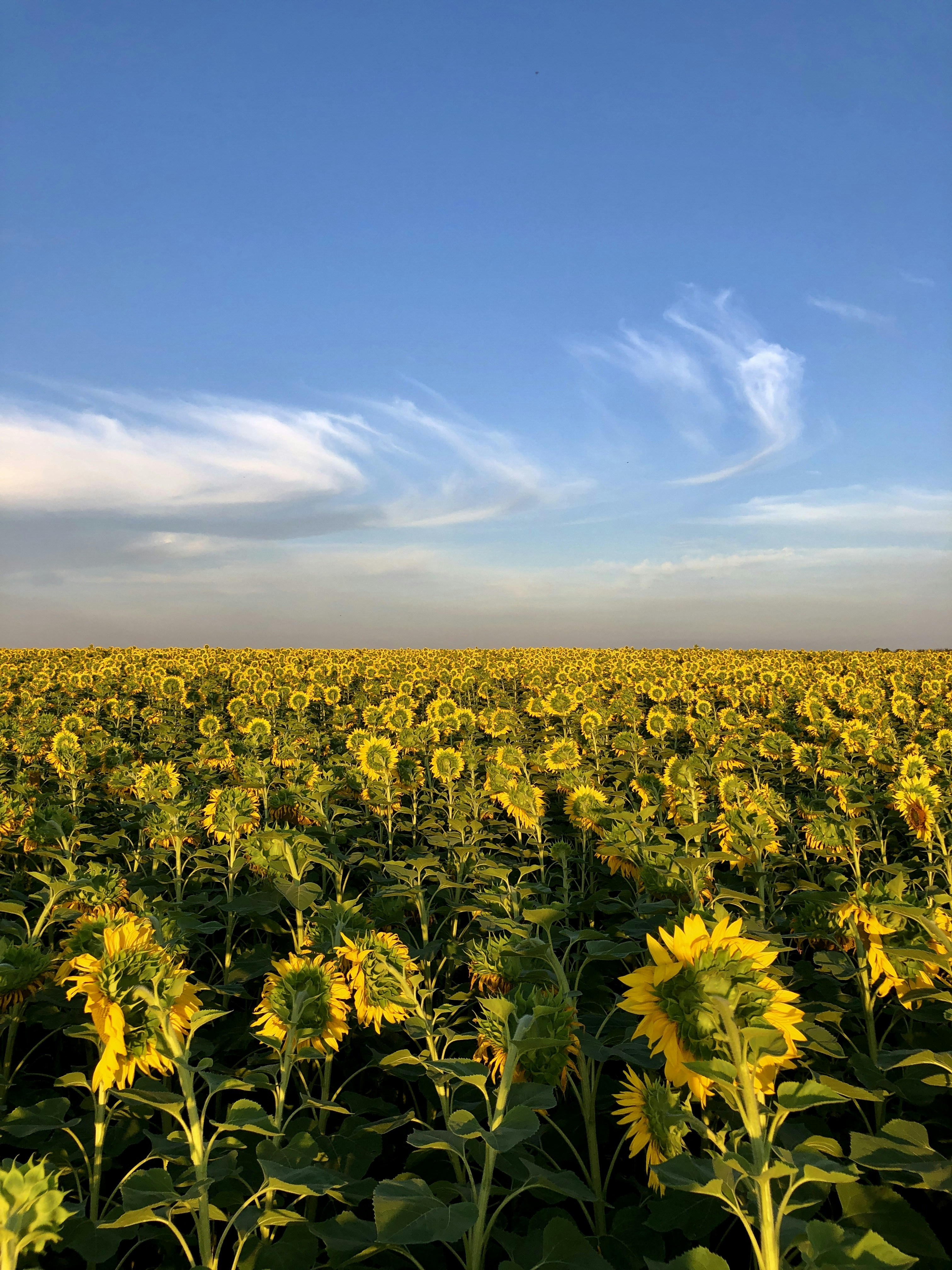 Photo by marryybllll