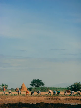 A group of young farmers working together in a vibrant green field under a clear blue sky.