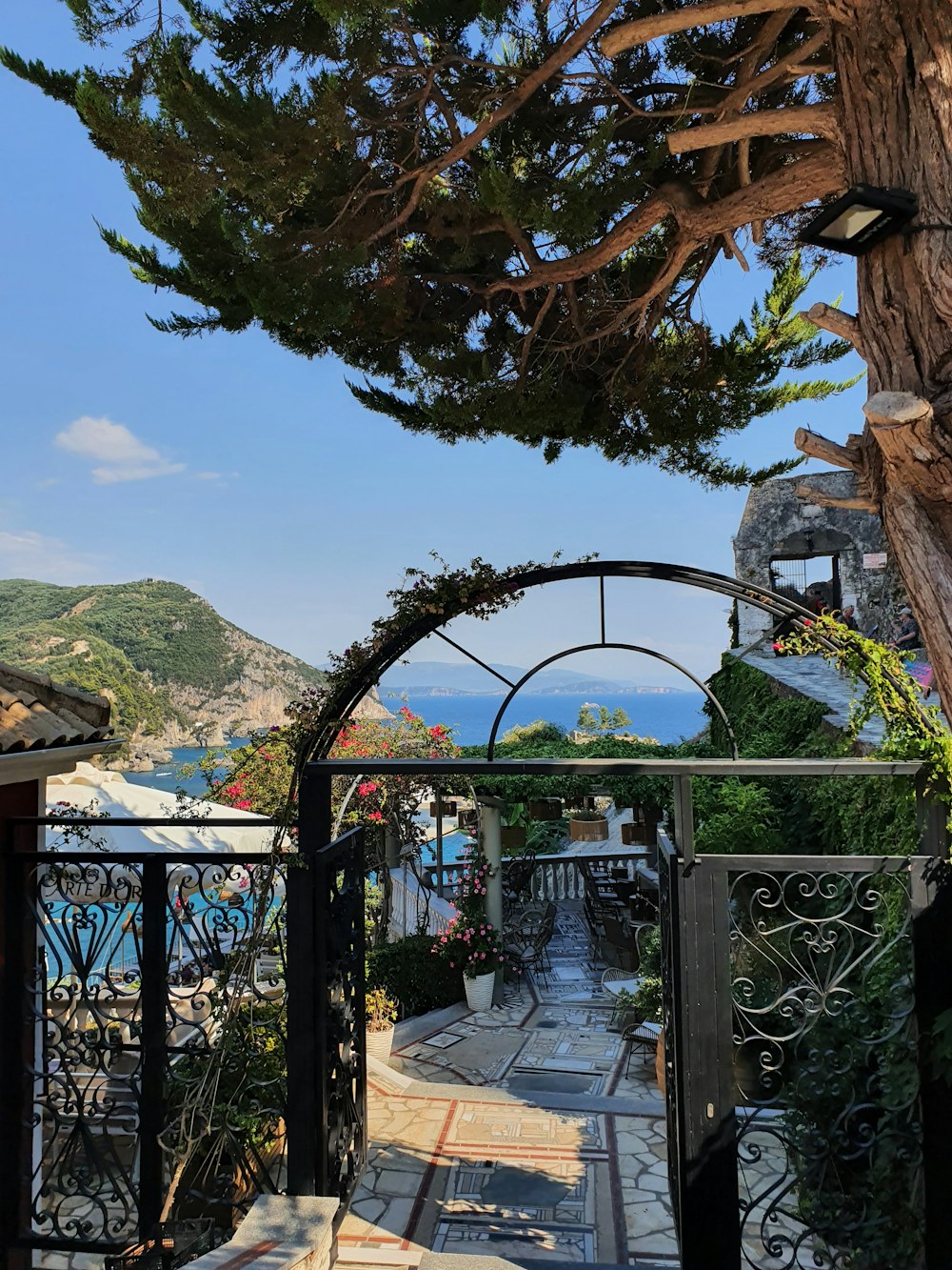 a gated walkway with a tree and a hill in the background