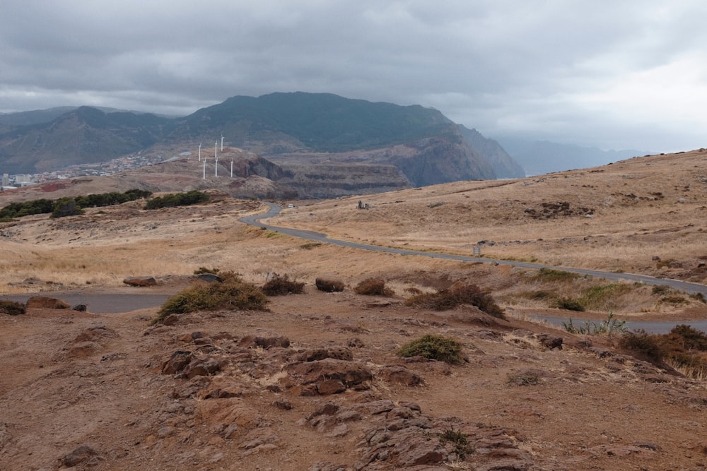 a dirt road in the desert