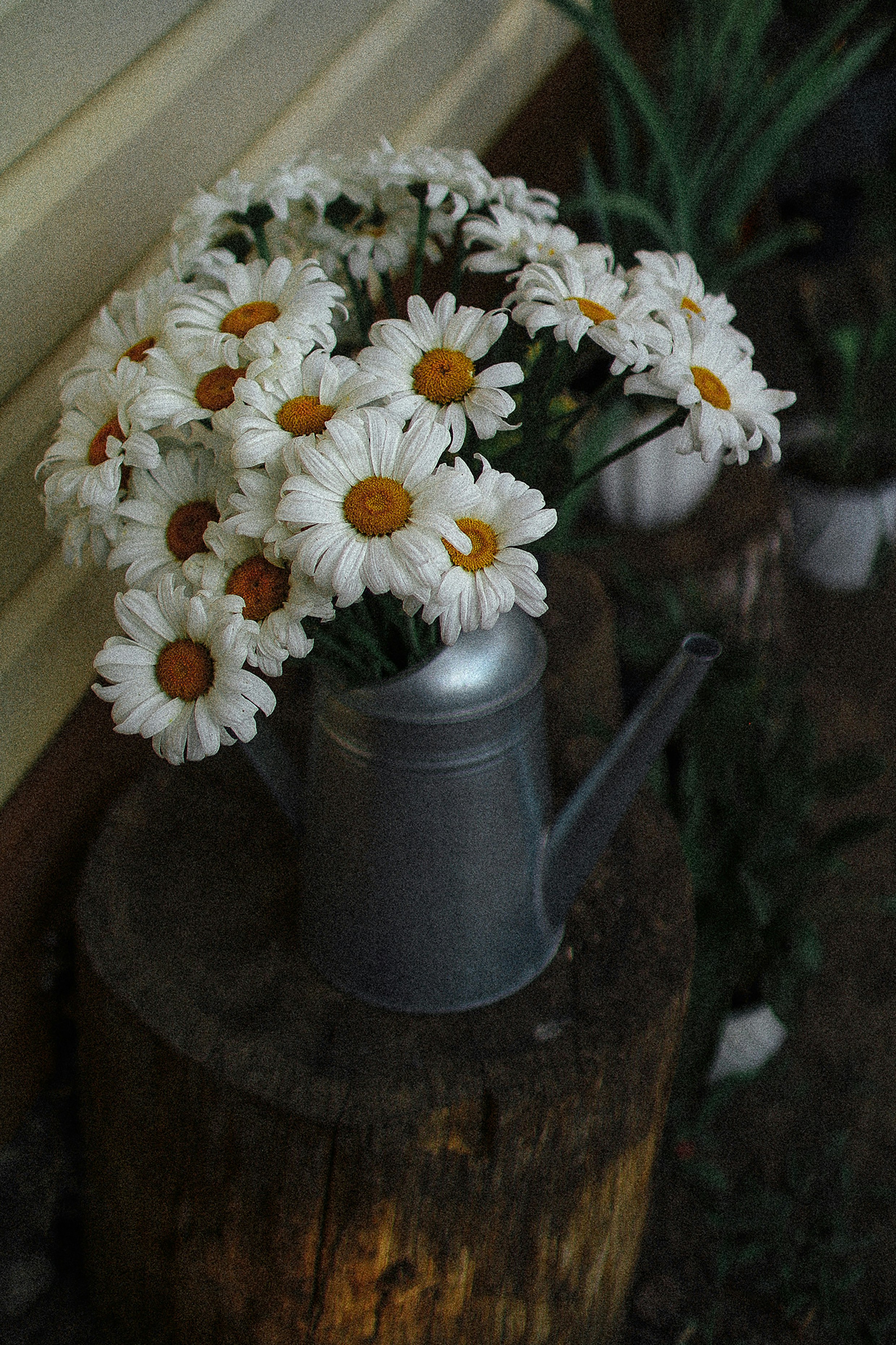 Photo by stellamarchuk