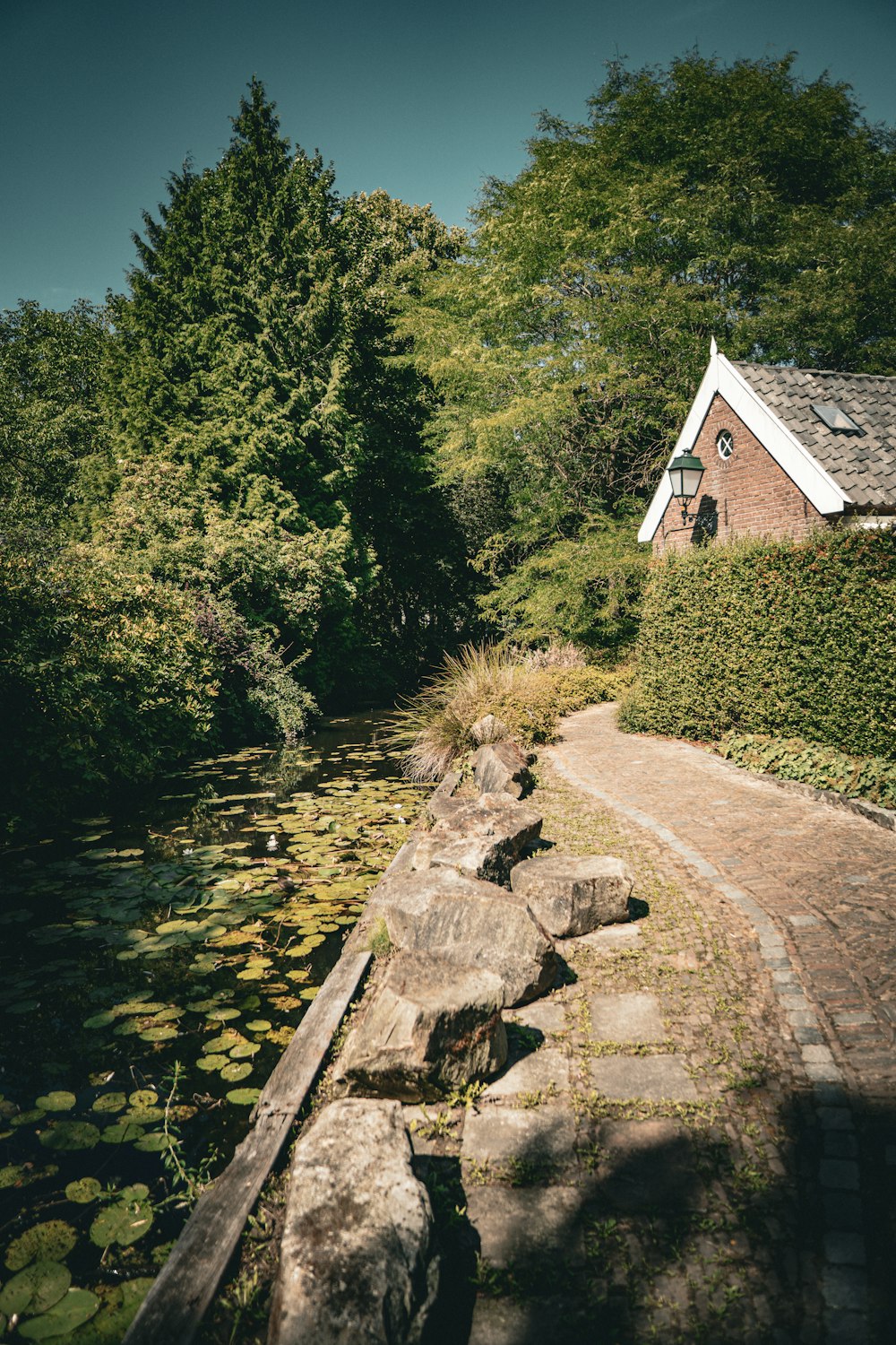 a stone path with a house and trees on the side