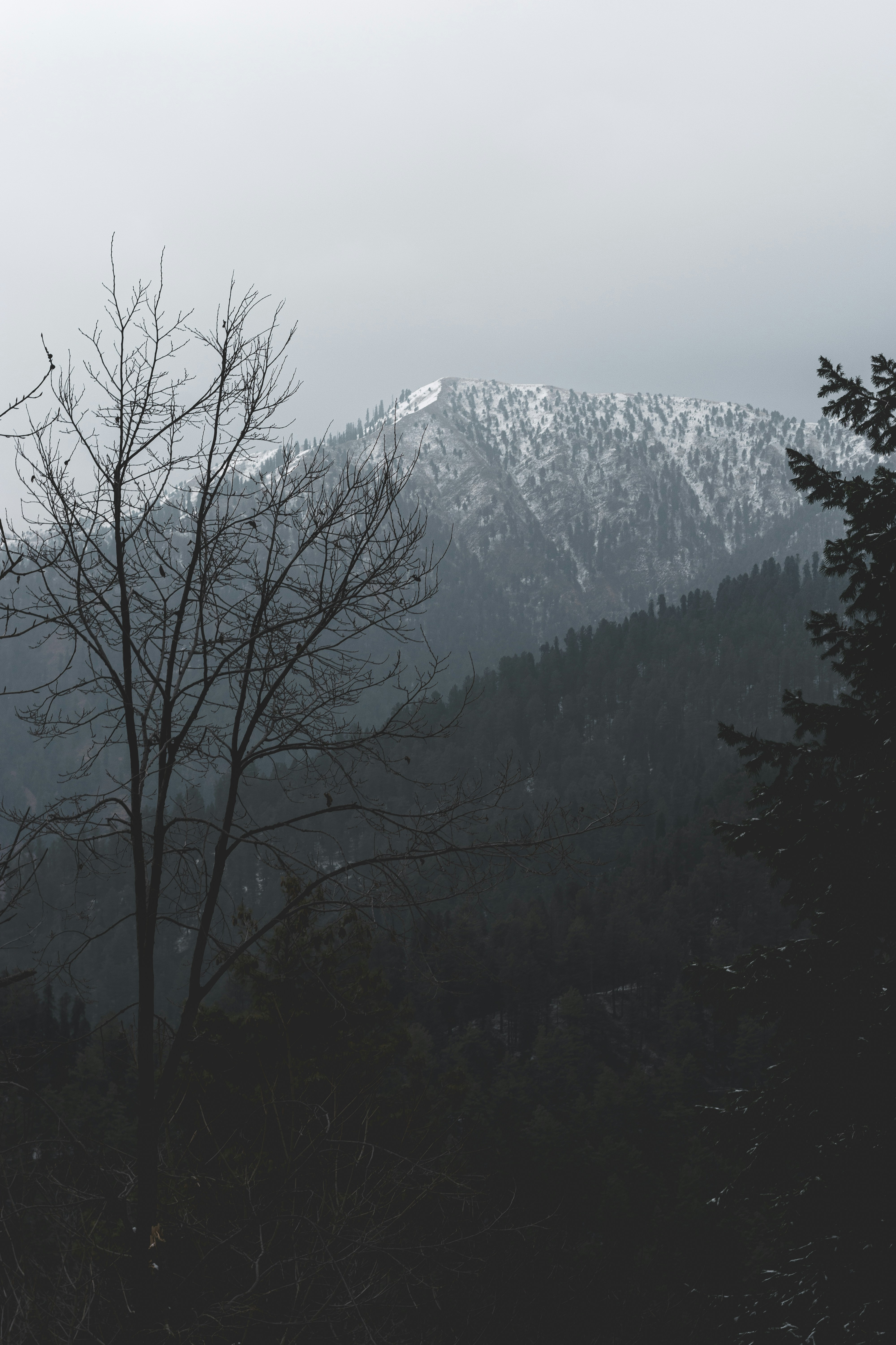 Photo by fahedafzaal