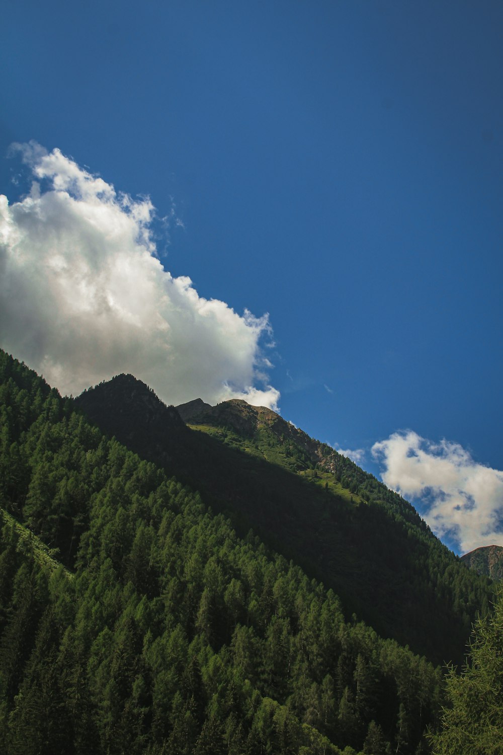 a mountain with trees and clouds